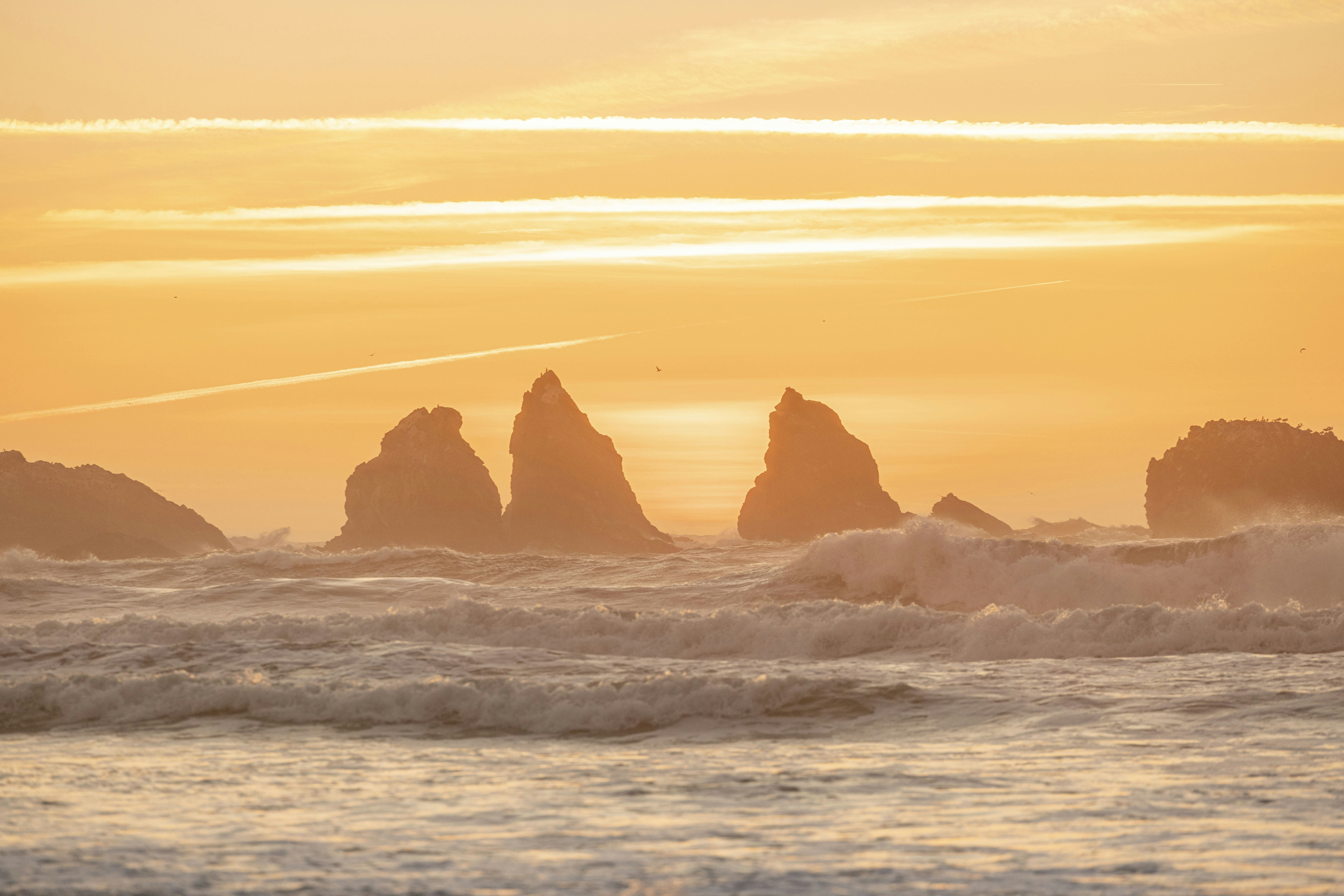 Photo by leo_visions_