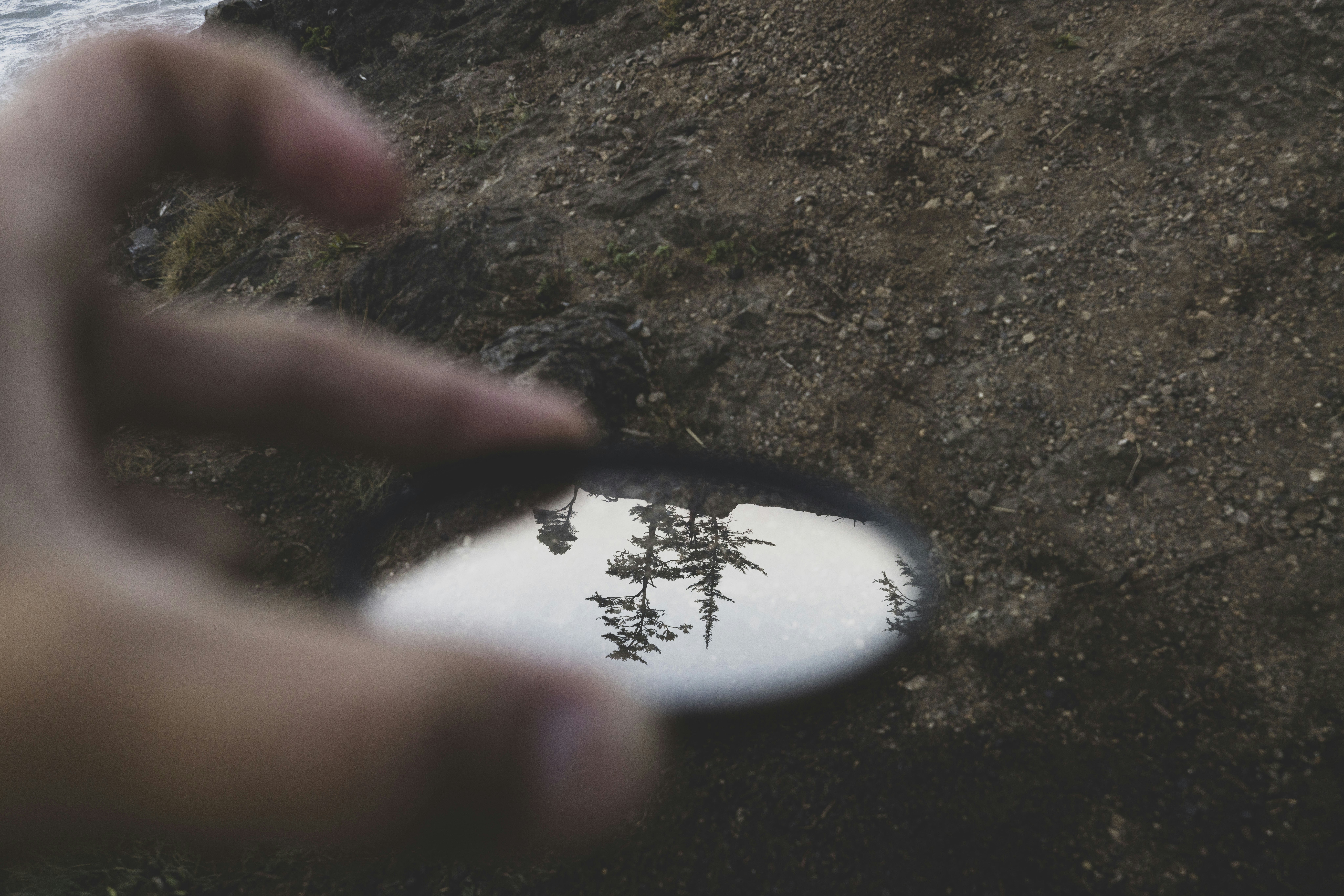 만약에 우리 쿠키 영상 유무 및 원작 소설과 영화의 결말 차이점 비교 이미지1
