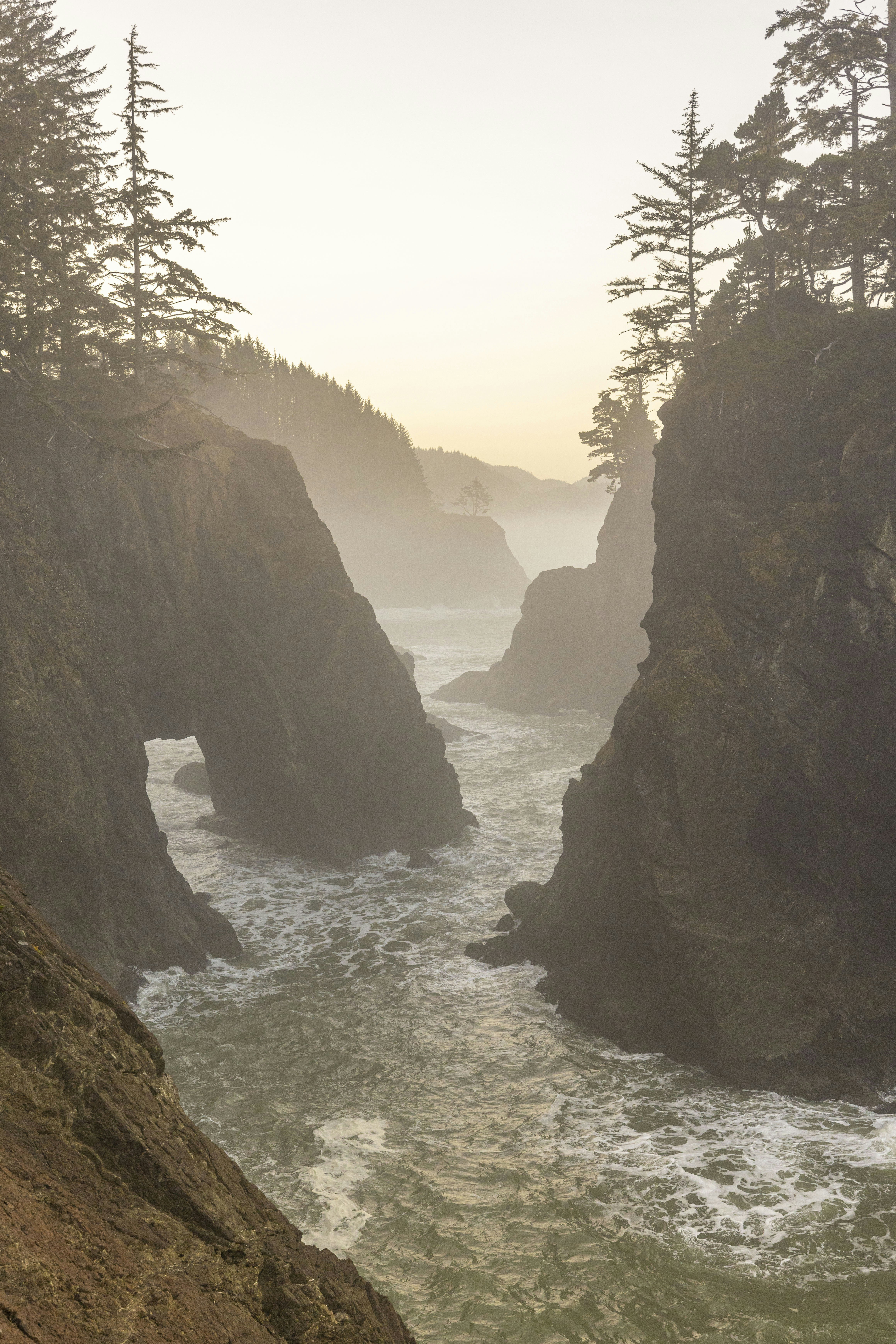 Photo by leo_visions_