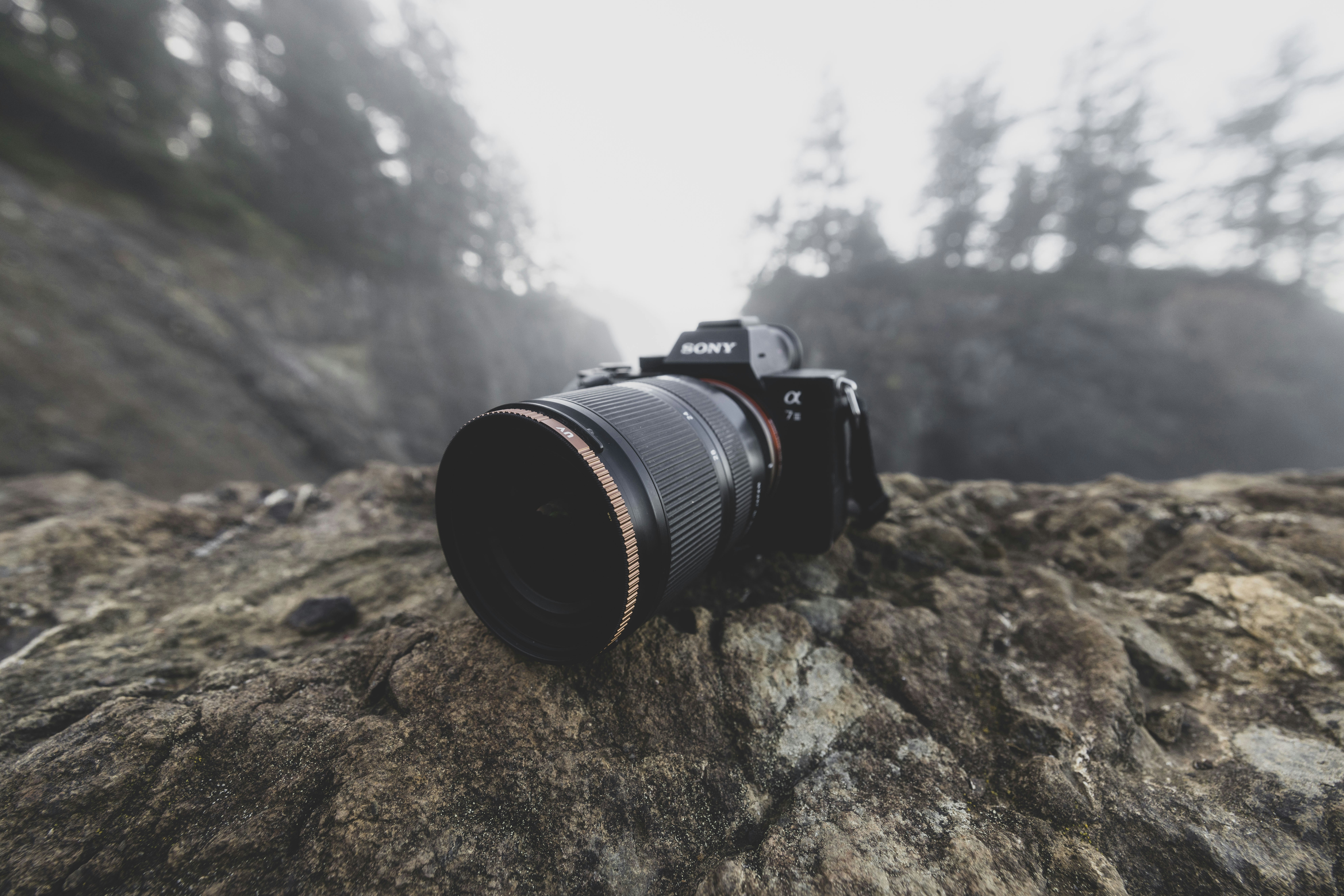 Photo by leo_visions_