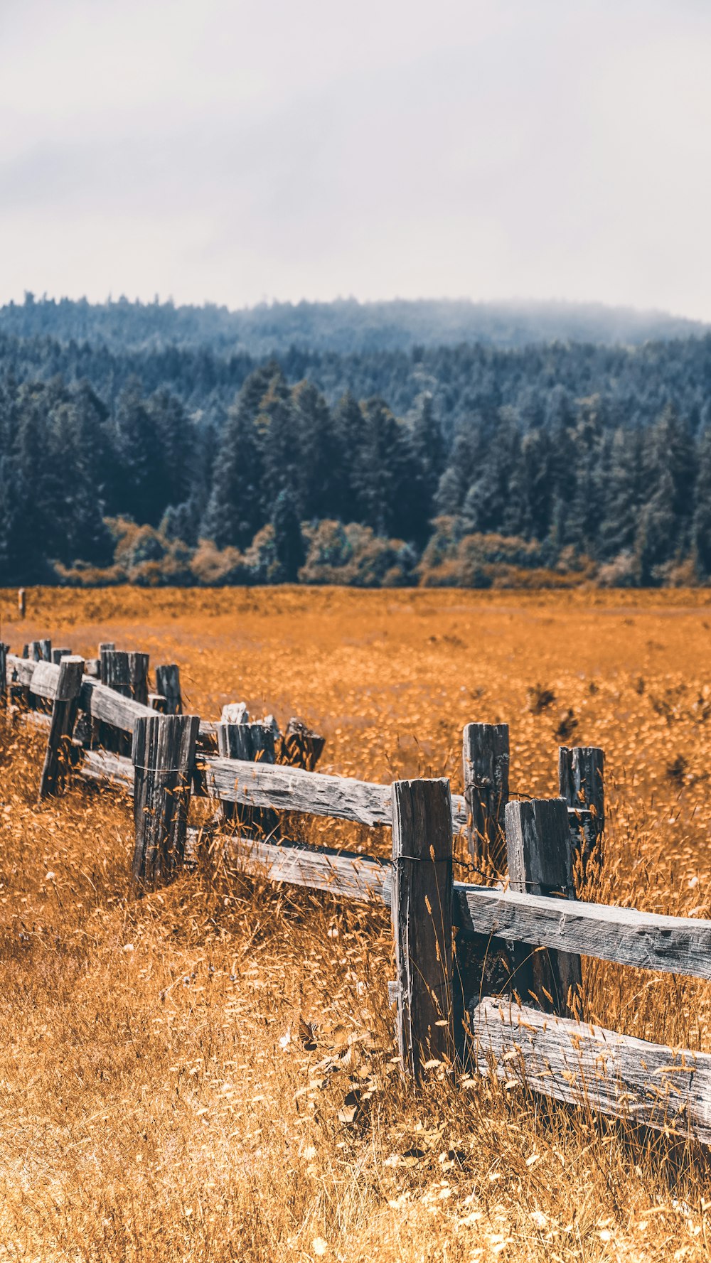 a wooden fence in a field with trees in the background