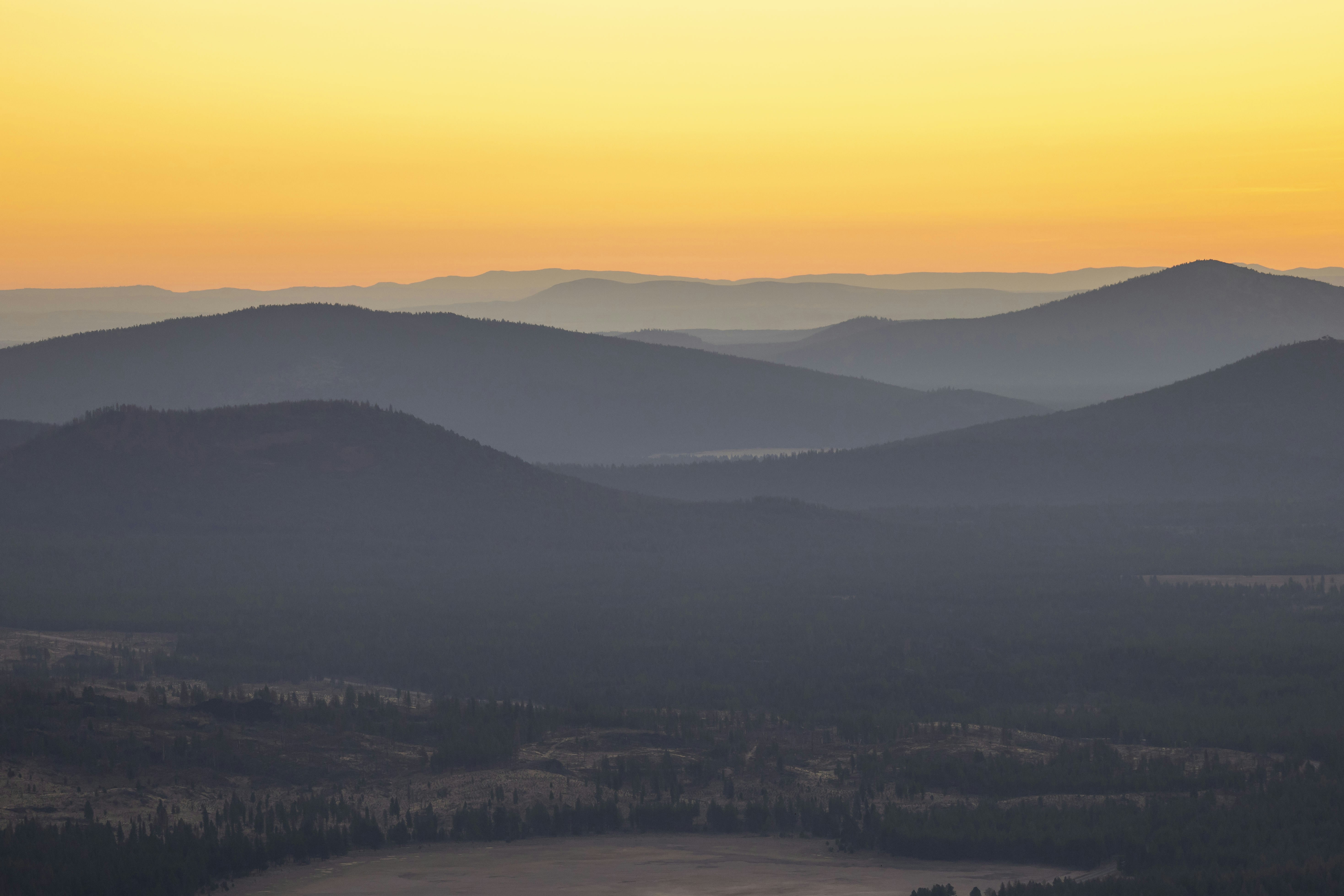 Photo by leo_visions_