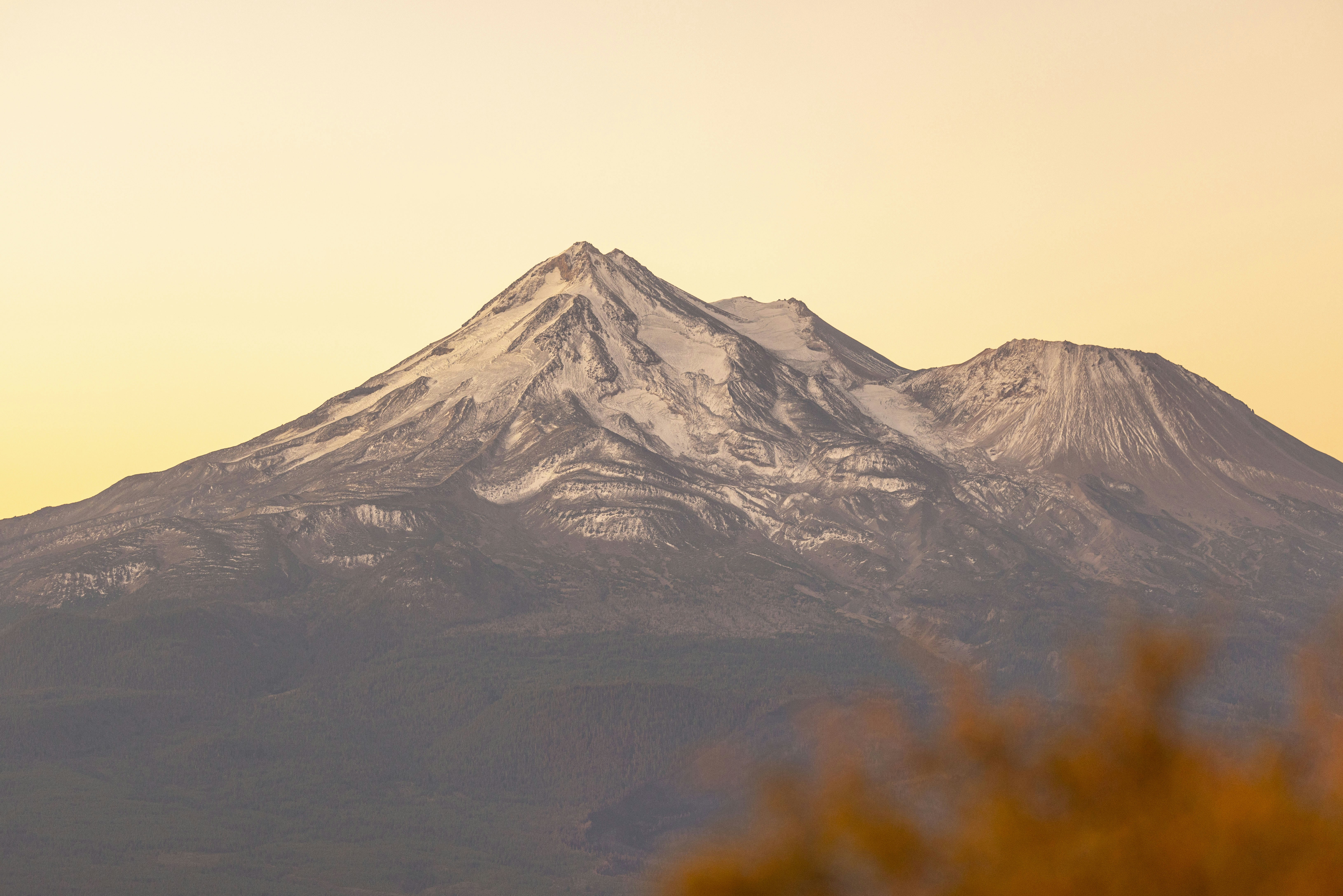 Photo by leo_visions_