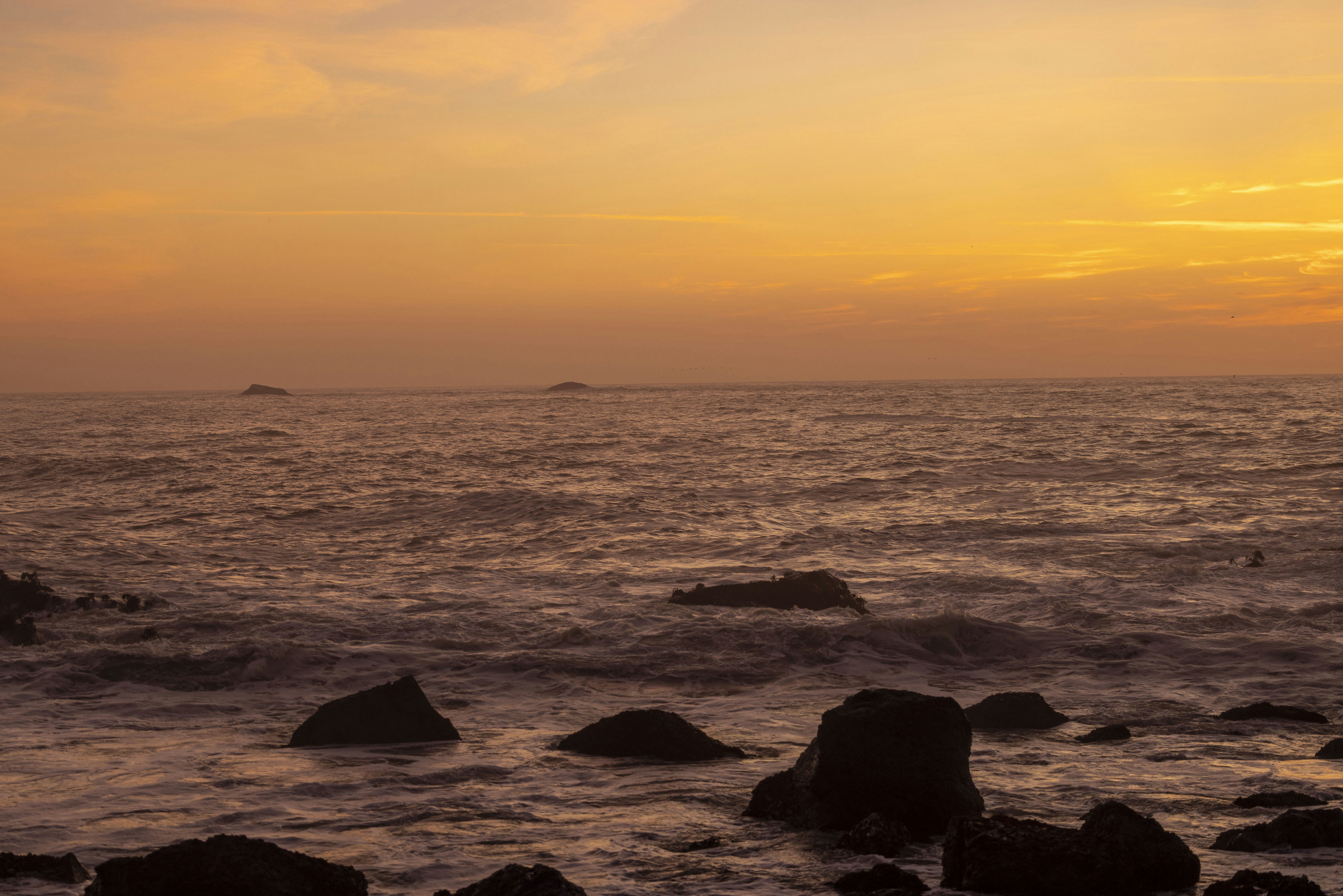 Photo by leo_visions_