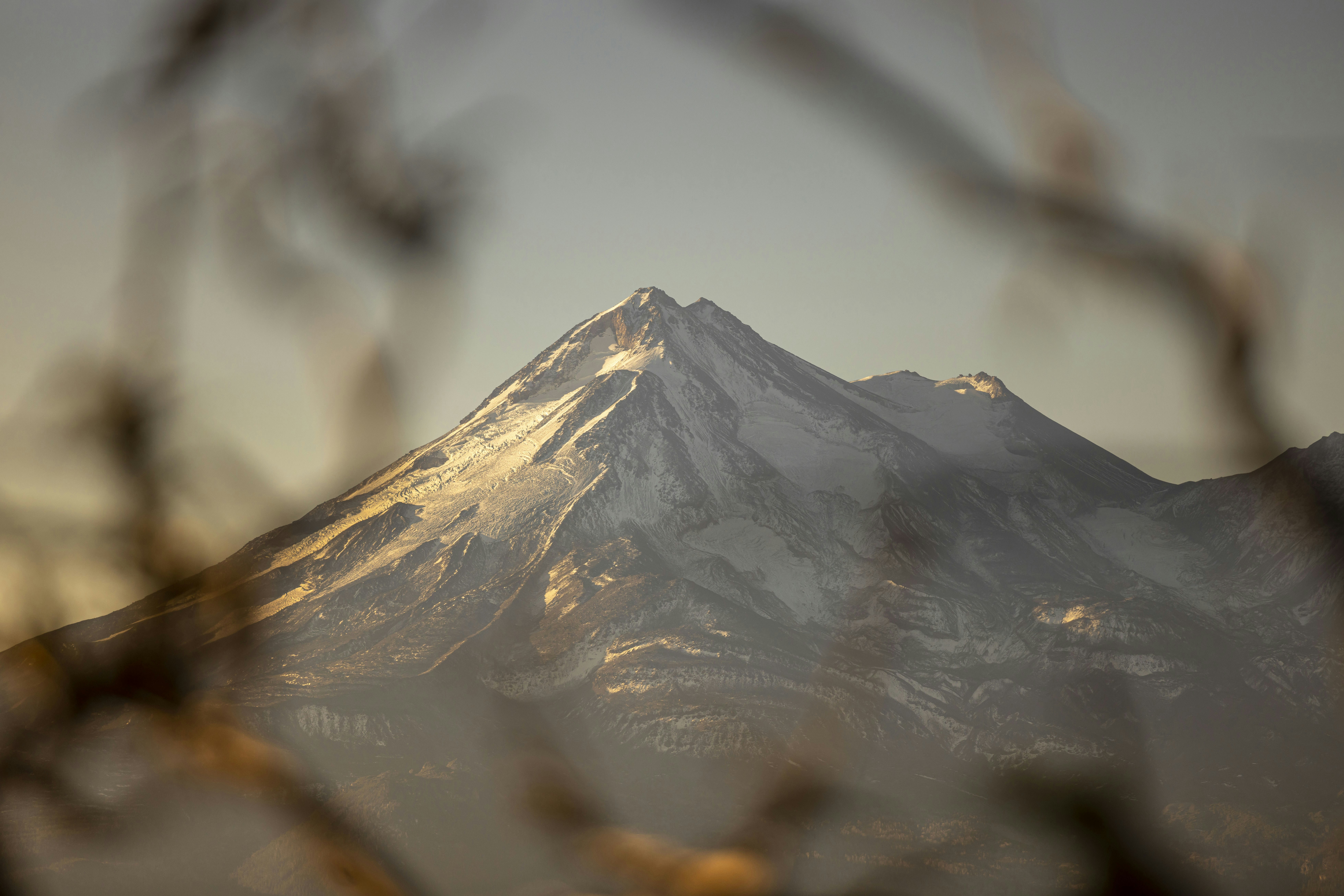 Photo by leo_visions_