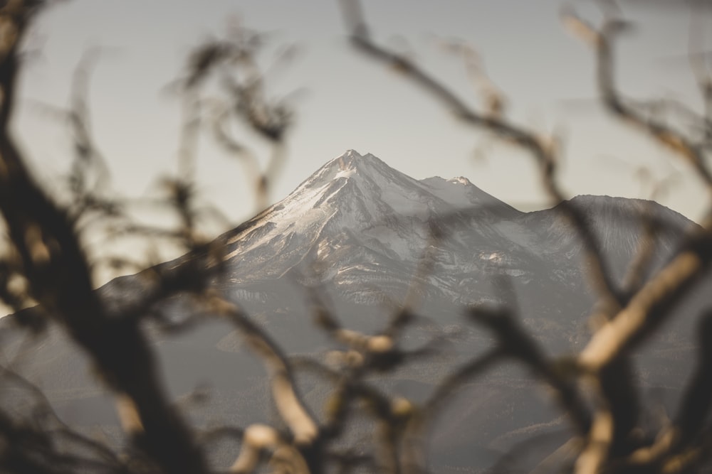 a view of a snow covered mountain through branches