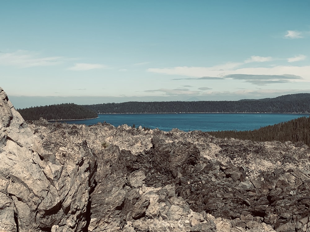 a person sitting on a rock overlooking a lake