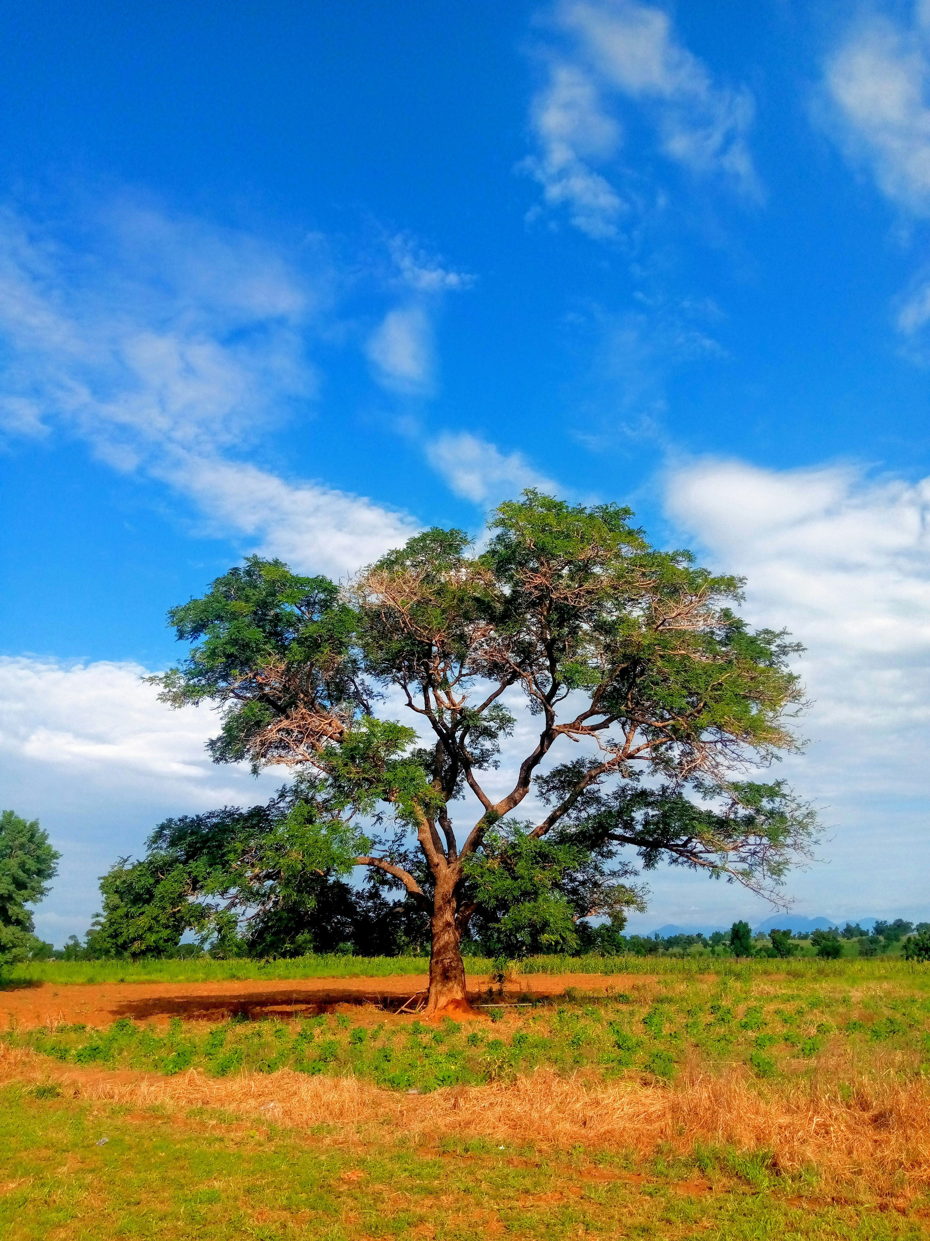 Photo by oluwarotimi_shot_it