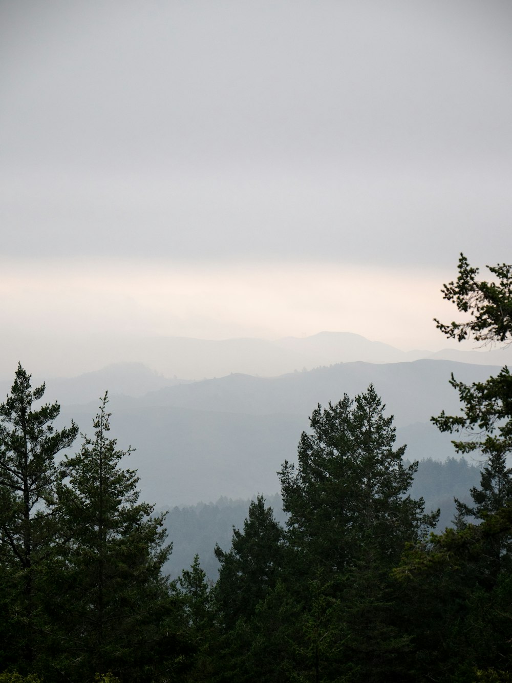 a view of a mountain range with trees in the foreground