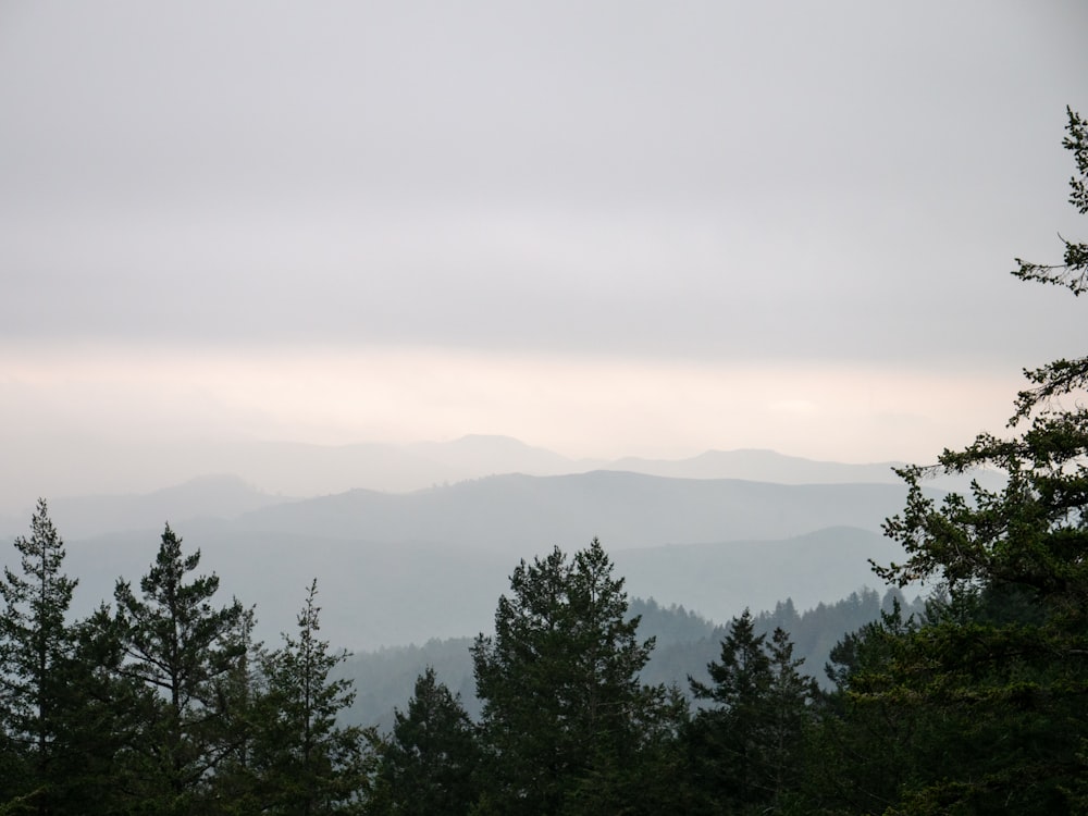 a view of a mountain range with trees in the foreground