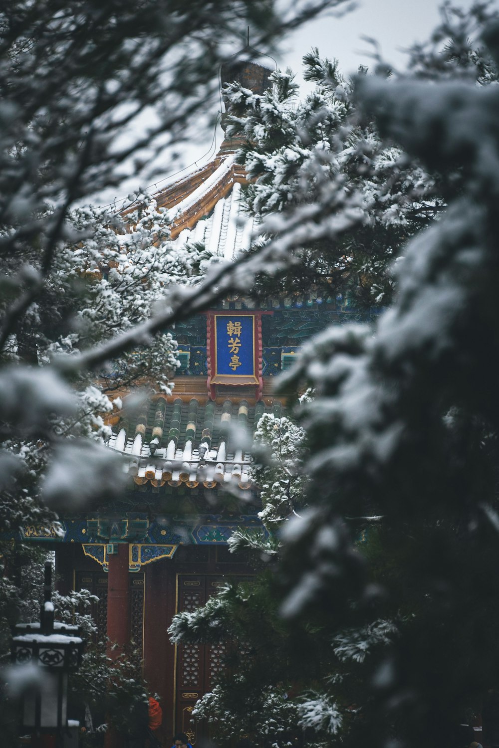 a tall building surrounded by trees covered in snow