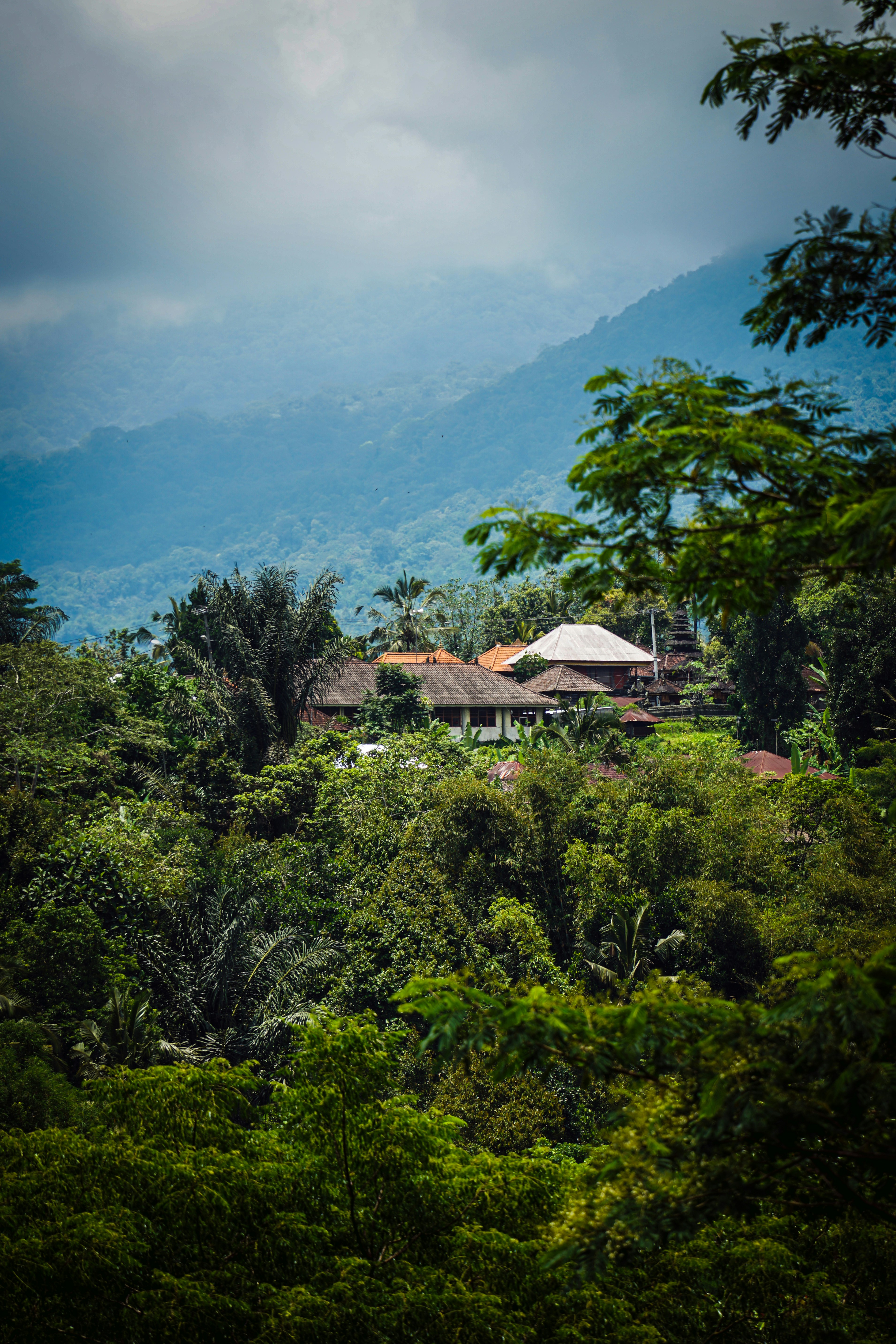 Photo by ayadighaith