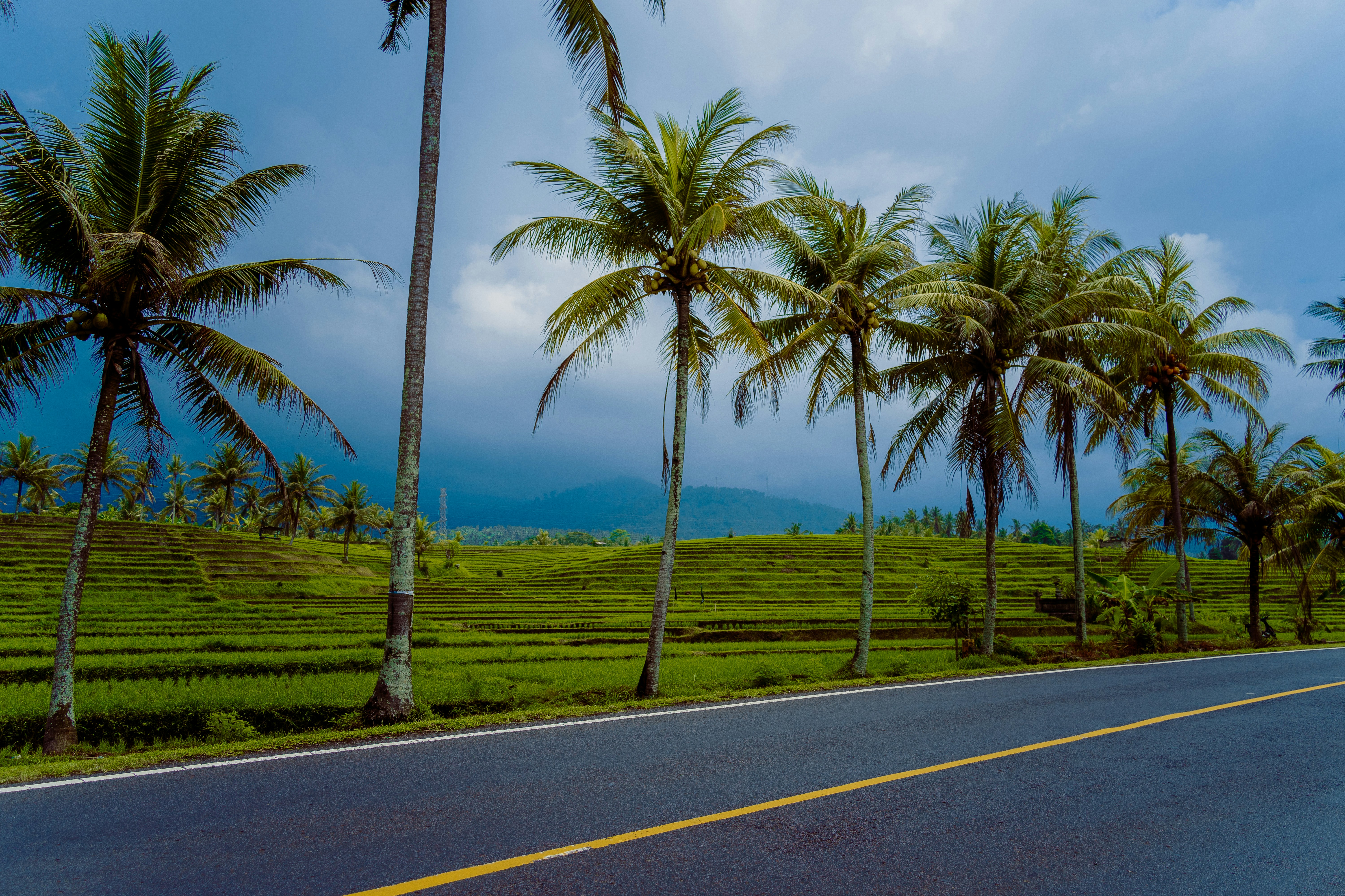 Photo by ayadighaith