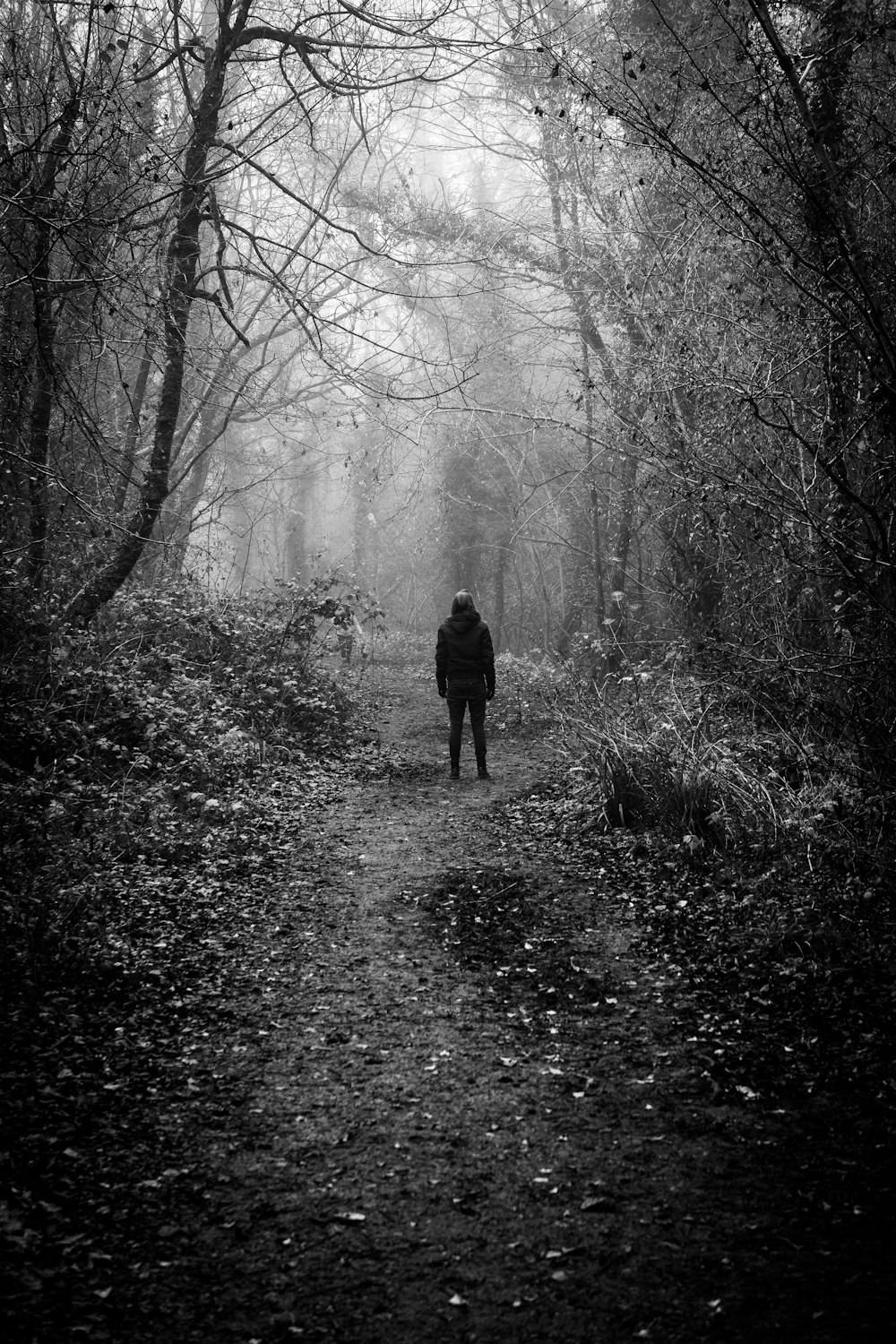 a person walking down a path in the woods