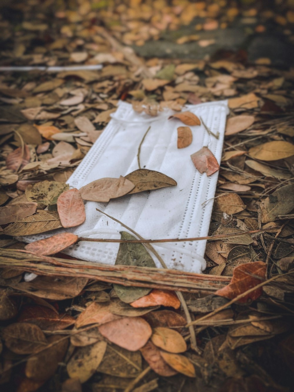 a napkin with leaves on it laying on the ground