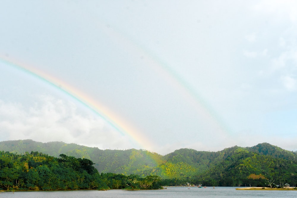 a rainbow over a body of water with trees in the background