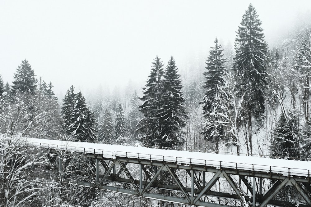 a snow covered bridge over a forest filled with trees