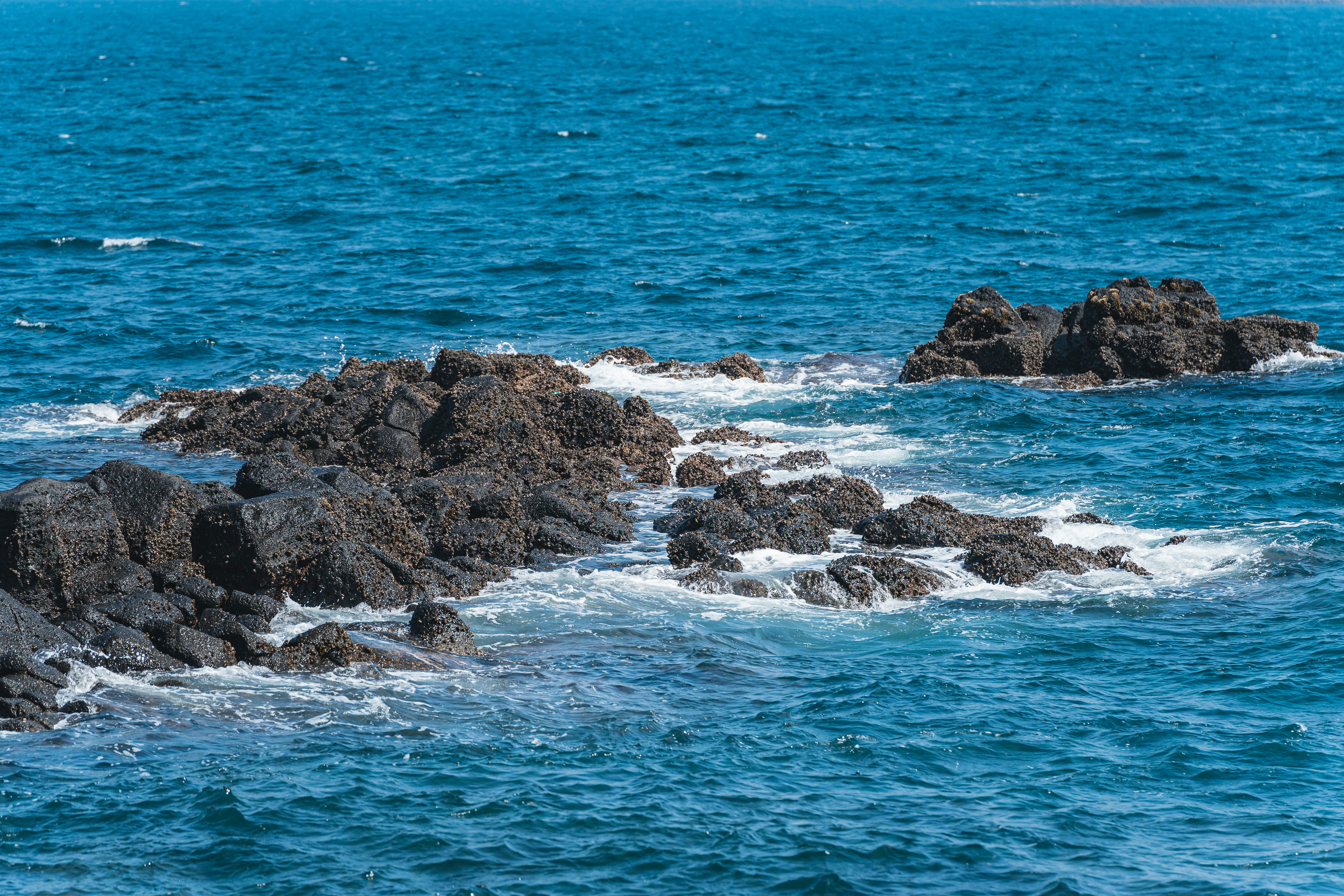 Rüyada Denizde Köpek Balığı Görmek: Anlamı ve Yorumu