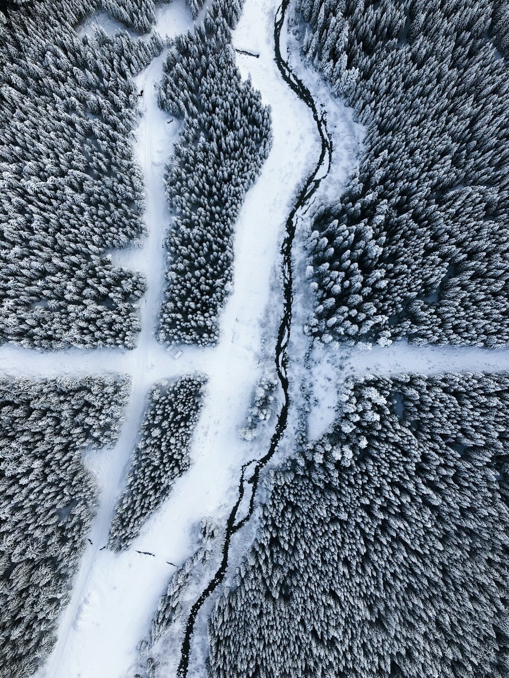 Una vista aérea de un bosque cubierto de nieve