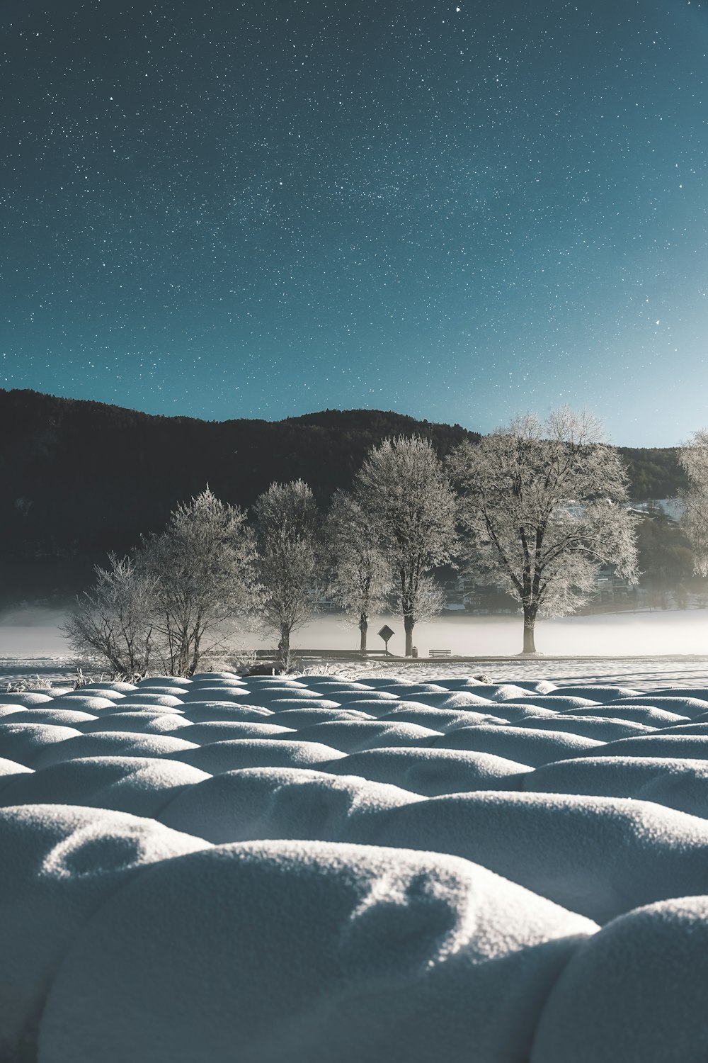 a snow covered field with trees in the distance