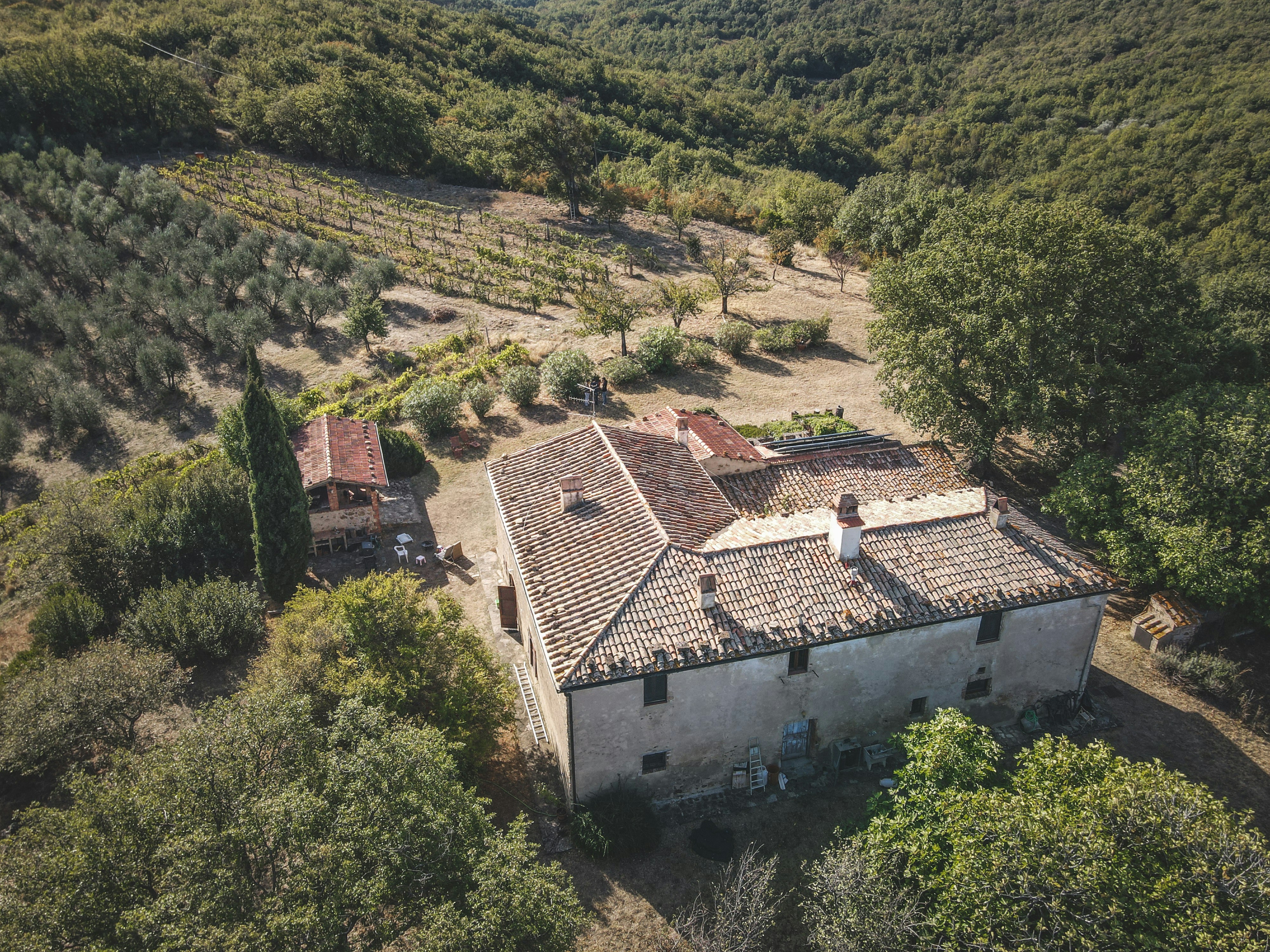 Photo by francesco_ungaro