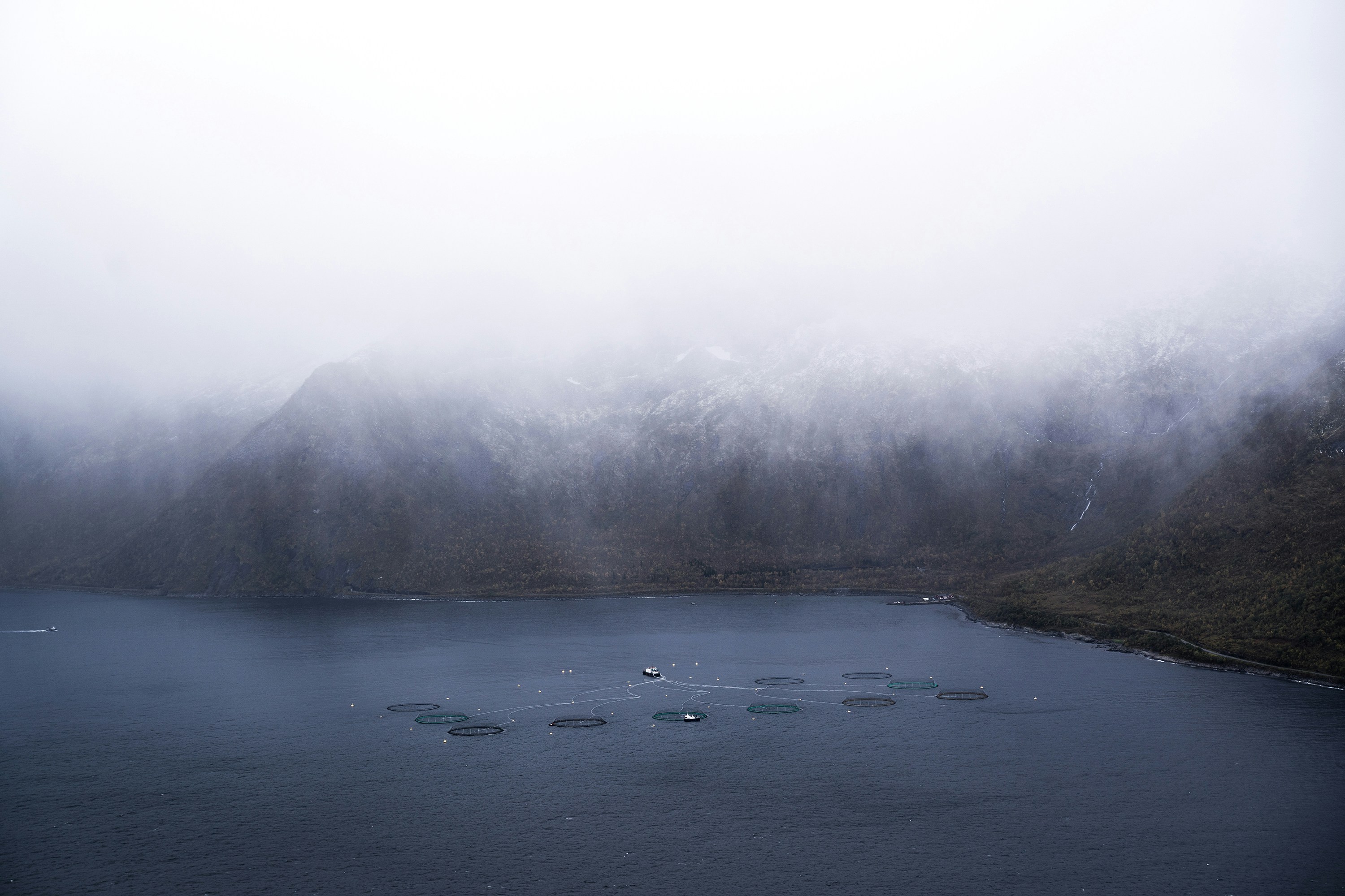 Photo by novemberwong