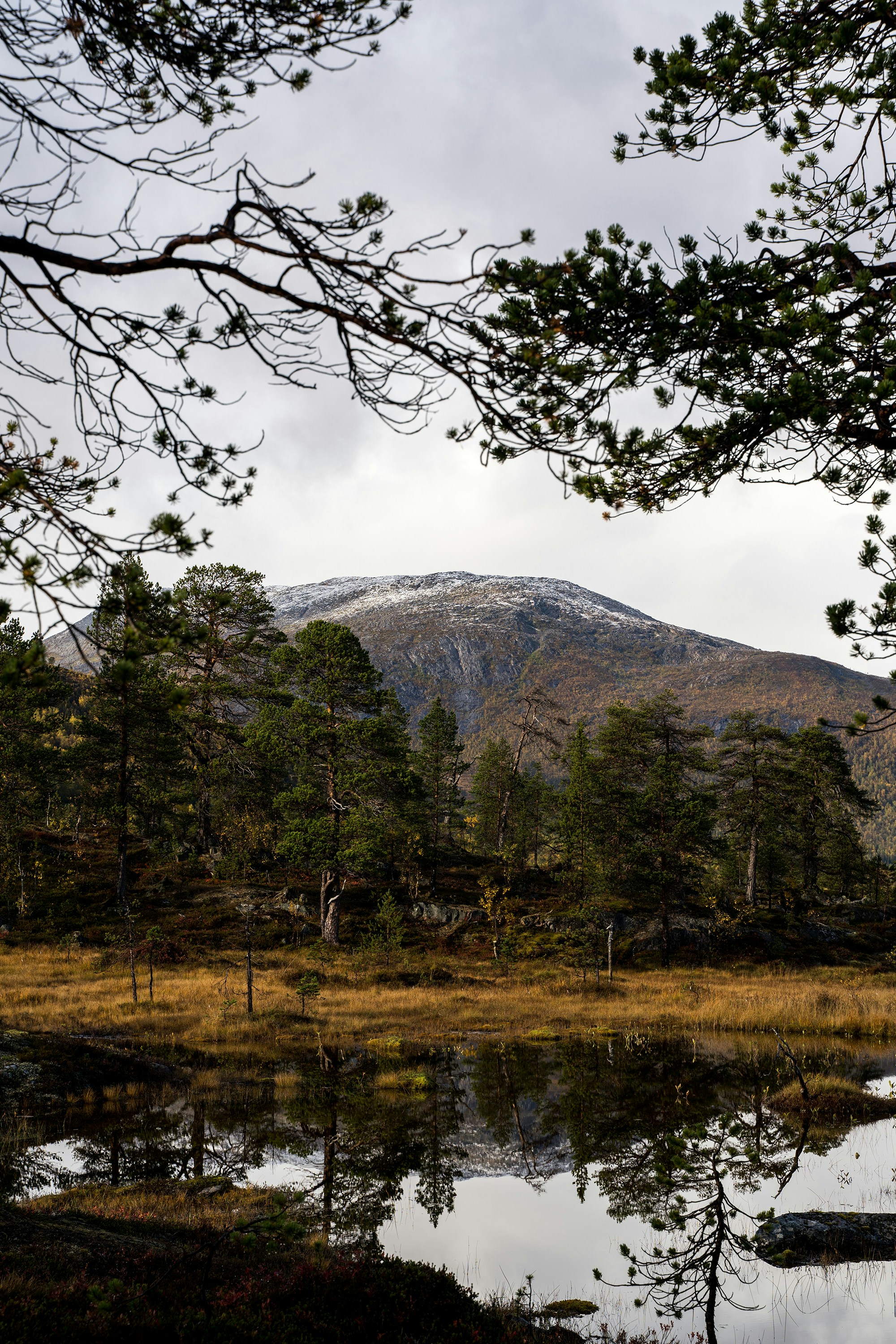 Photo by novemberwong