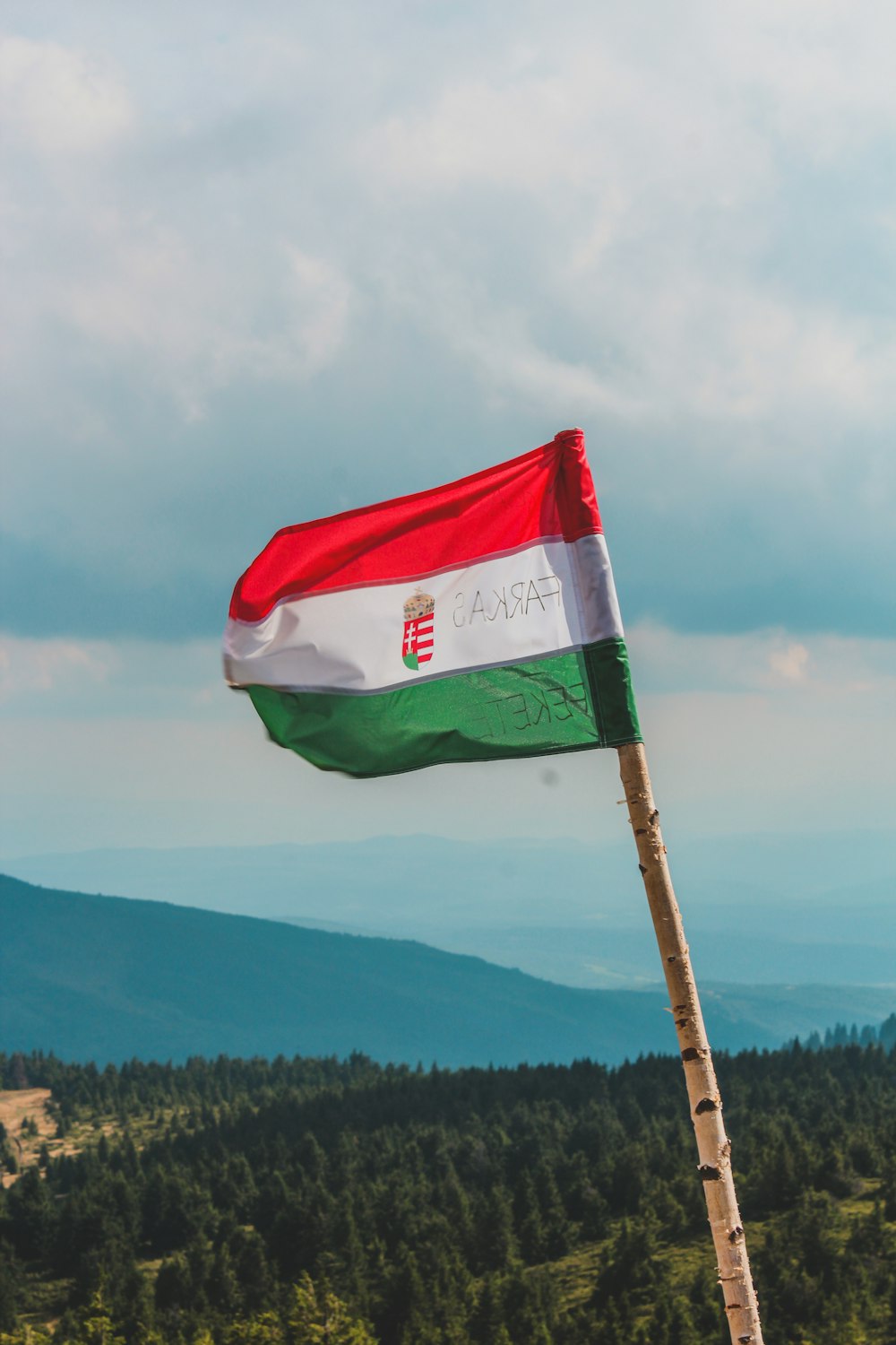 a flag on top of a wooden pole