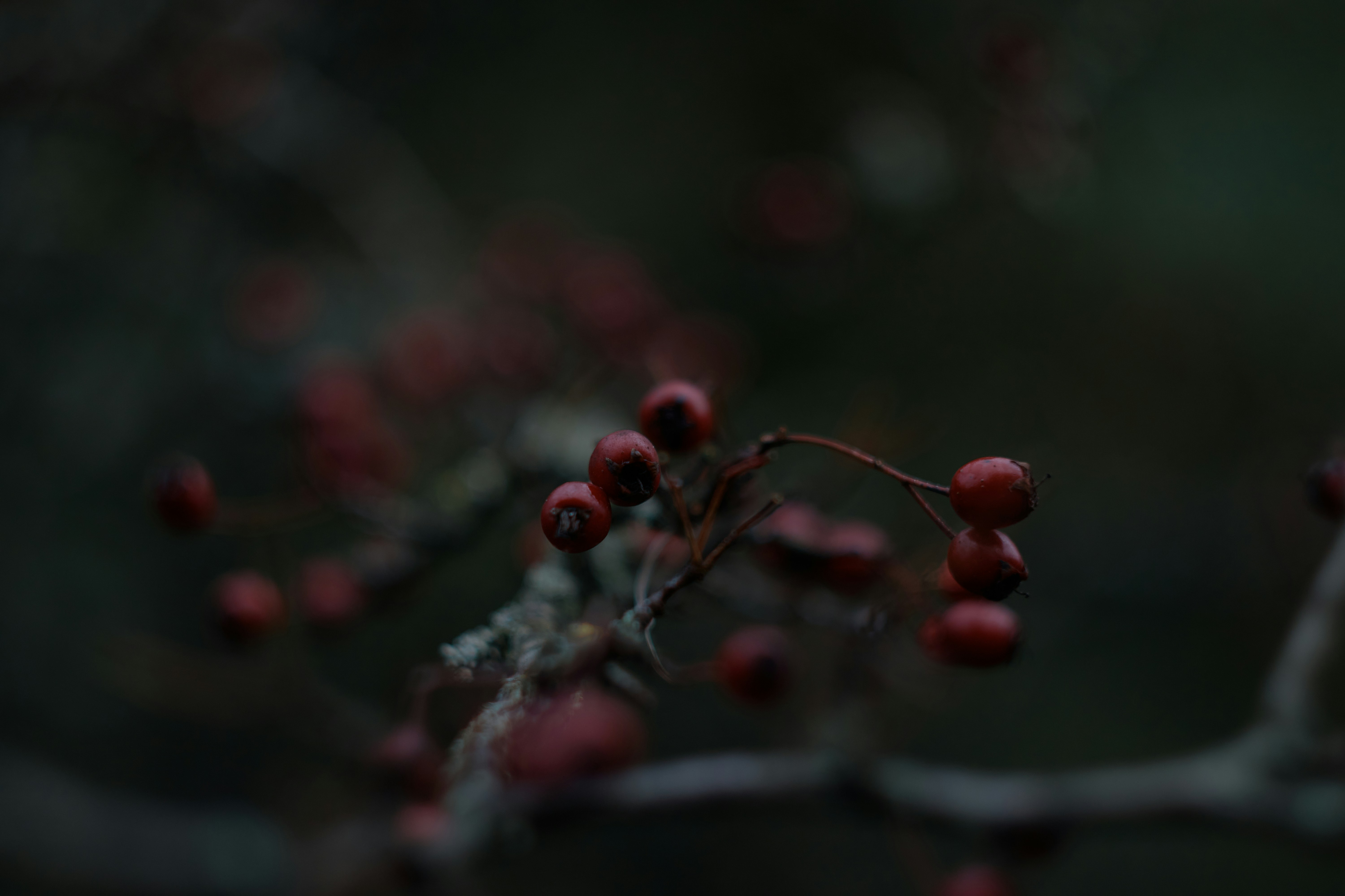 Photo by rostislavbudzan