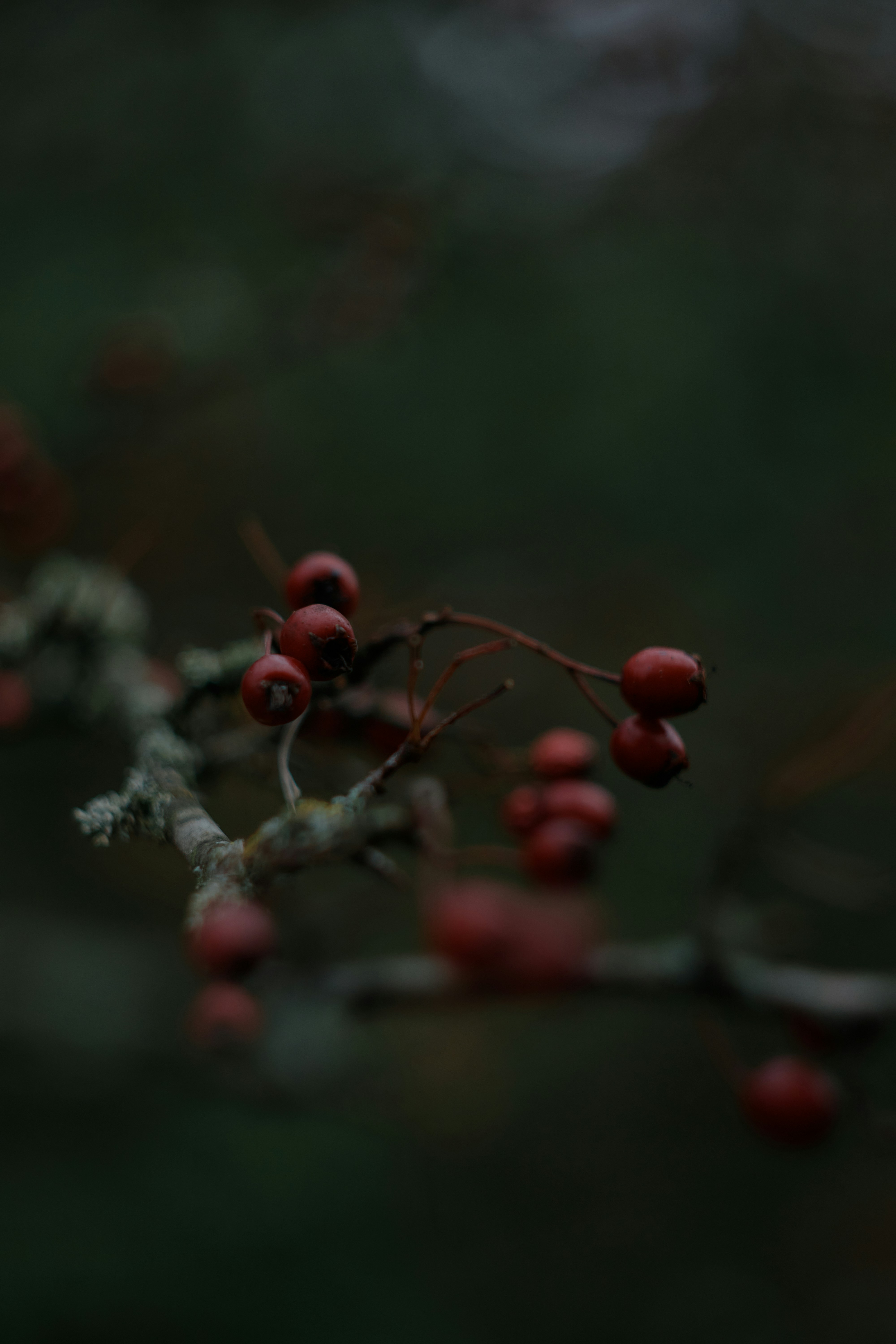 Photo by rostislavbudzan