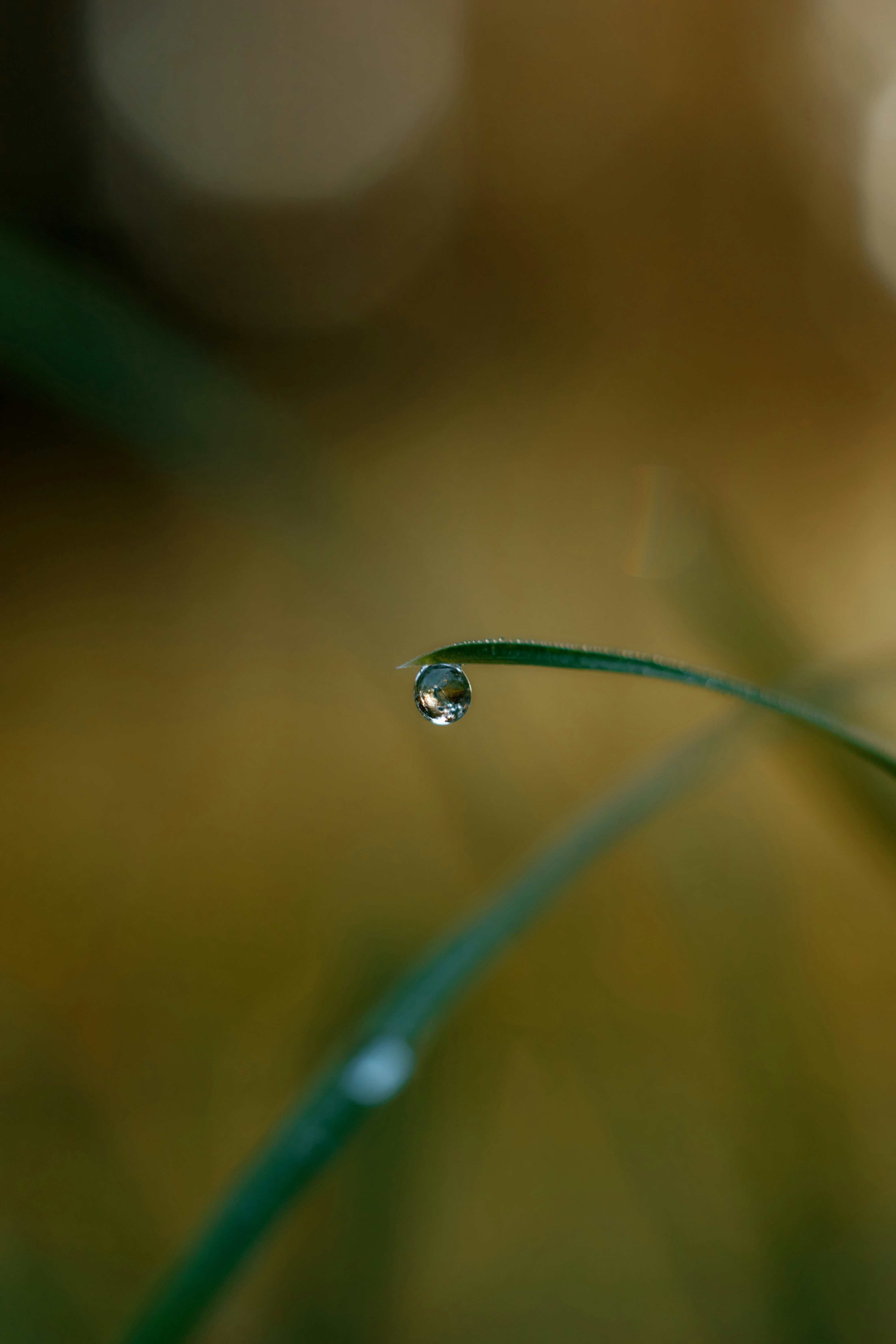 Photo by rostislavbudzan