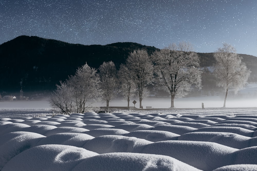 a snow covered field with trees and mountains in the background