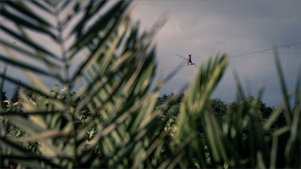 a person on a high wire high in the air