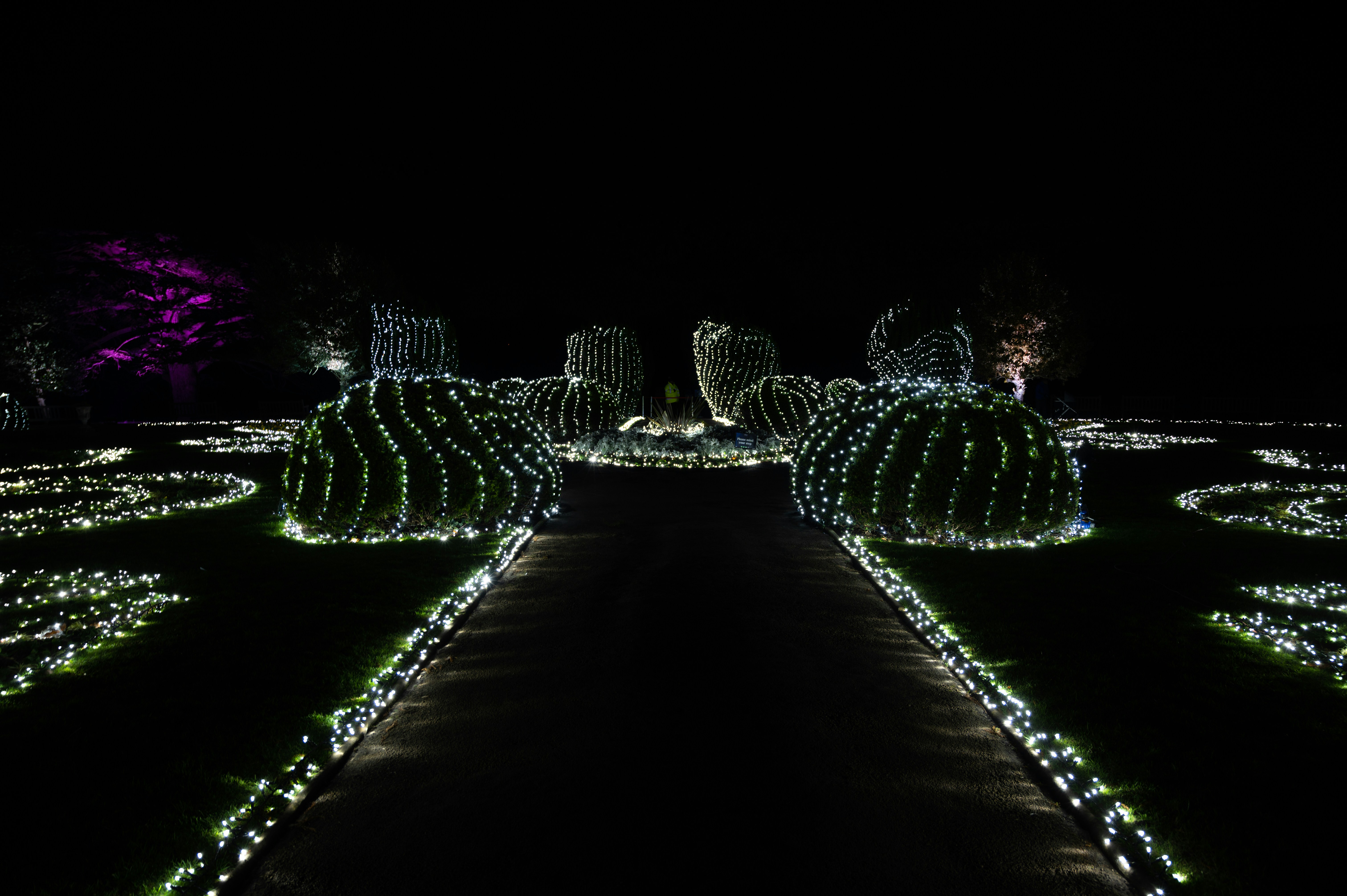Como Automatizar a Iluminação do Jardim com Sensores de Presença e Timer