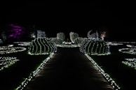 An intricately designed garden illuminated by numerous strings of white lights in the shape of bushes and pathways. The scene is surrounded by complete darkness, highlighting the glowing forms. In the background, a tree is subtly lit with magenta lighting.