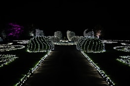 An intricately designed garden illuminated by numerous strings of white lights in the shape of bushes and pathways. The scene is surrounded by complete darkness, highlighting the glowing forms. In the background, a tree is subtly lit with magenta lighting.