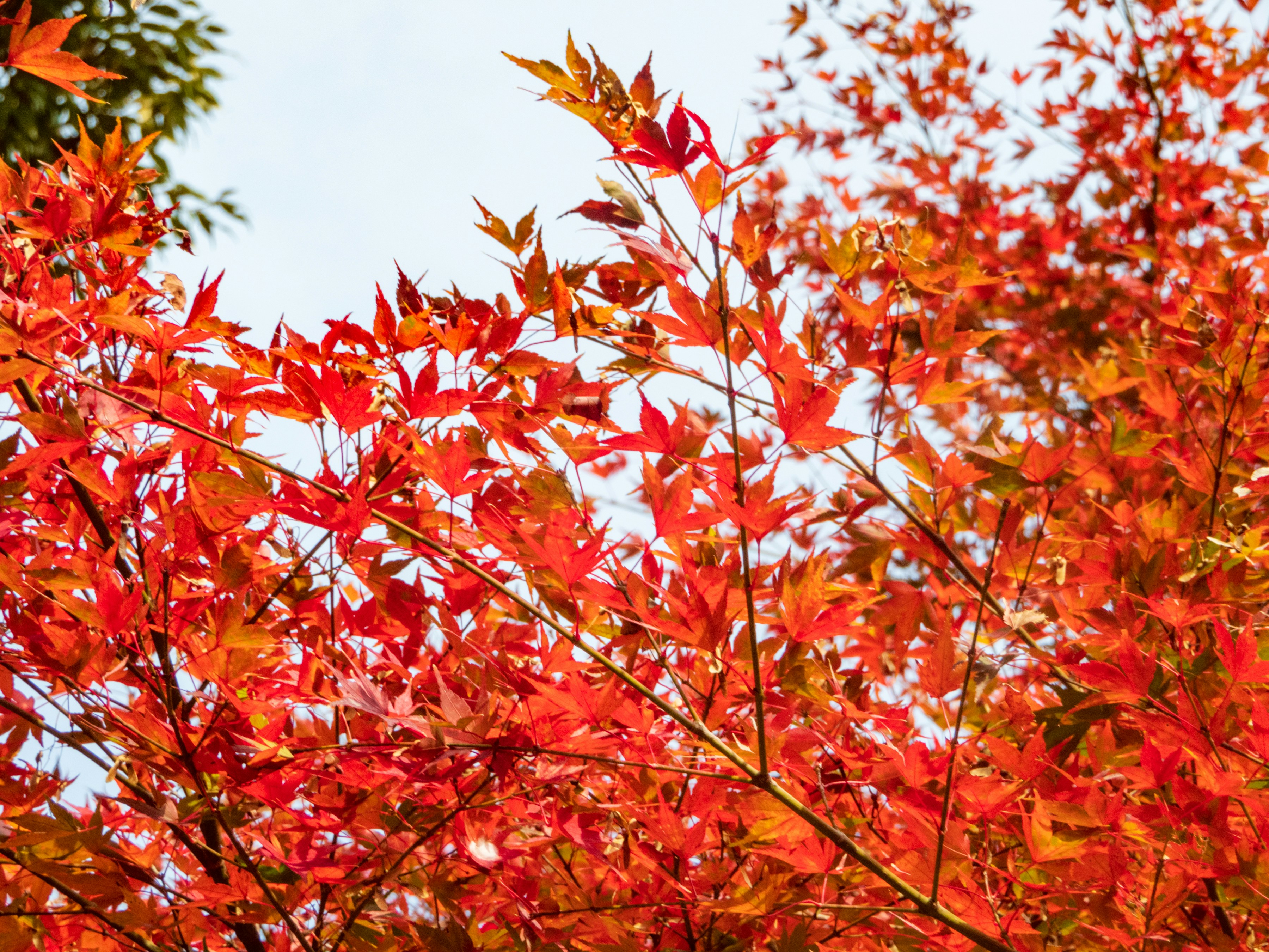 Photo by heppoko_yama