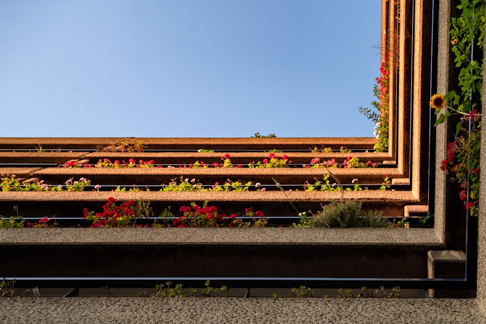 a picture of a building with flowers growing out of it