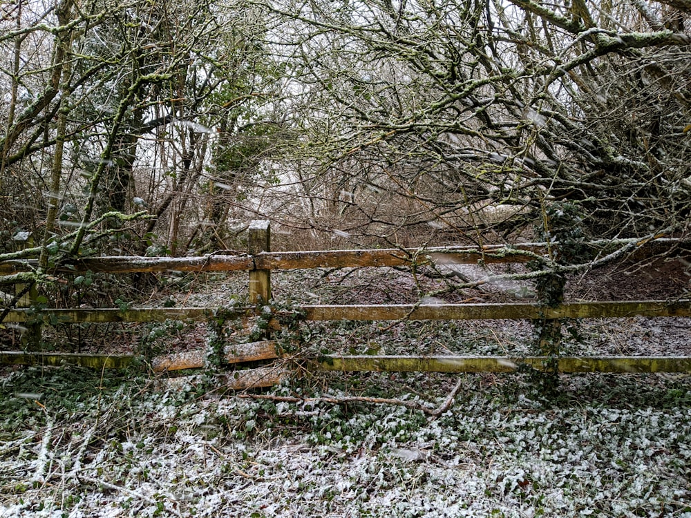a gate in the middle of a snowy forest