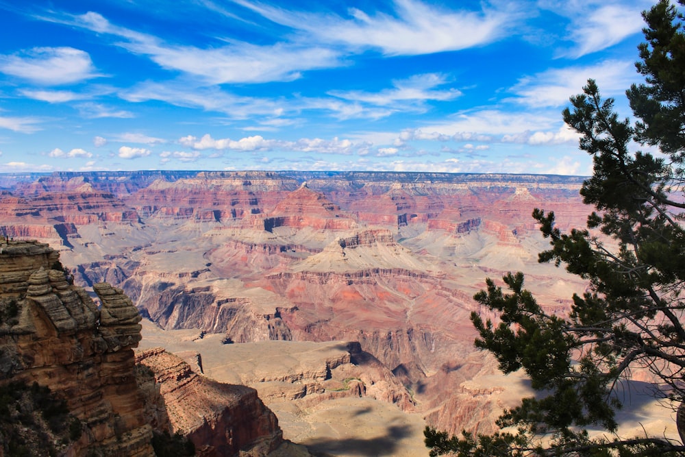 a view of the grand canyon from a high point of view