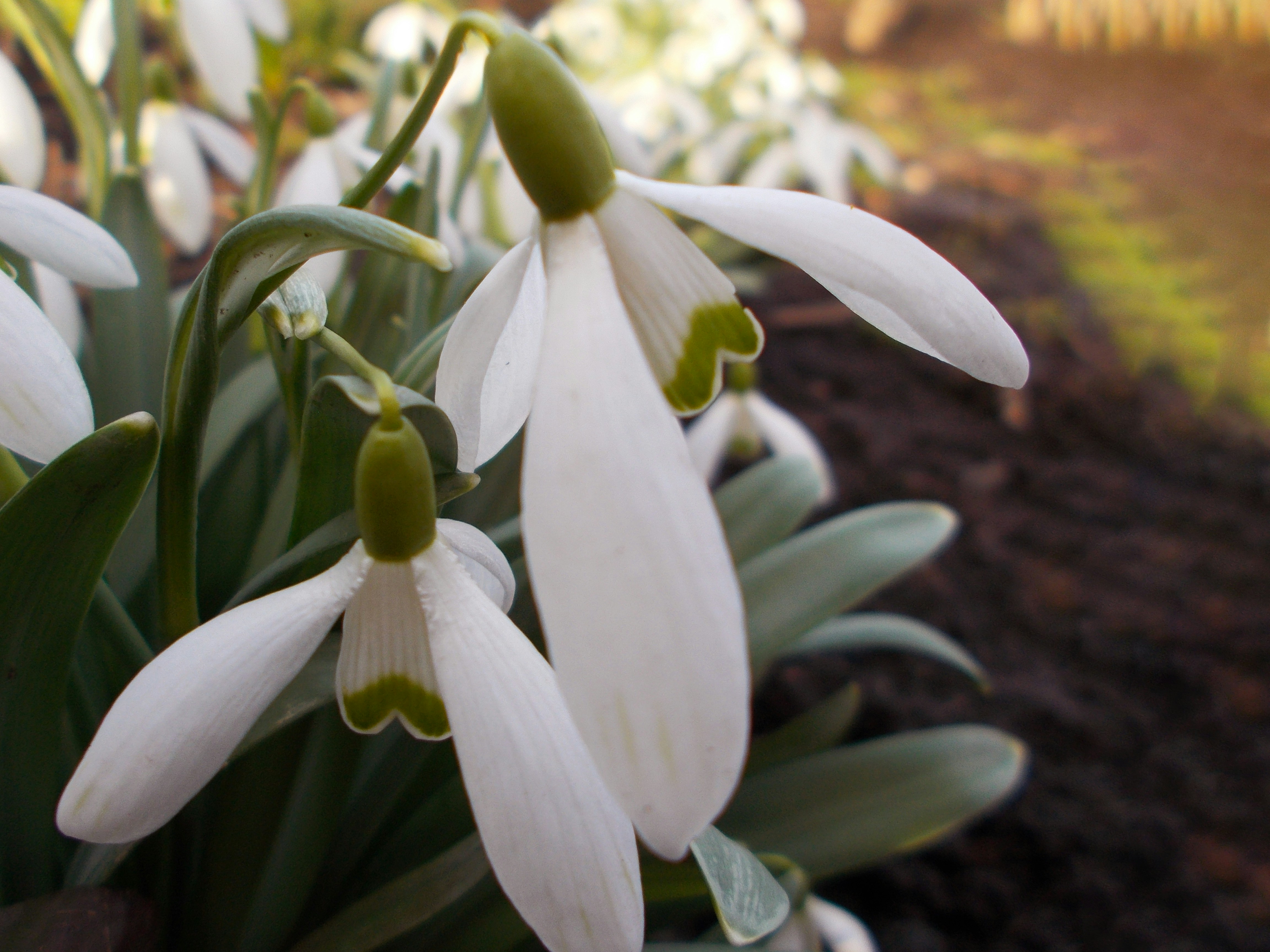 Photo by helen_zahrai