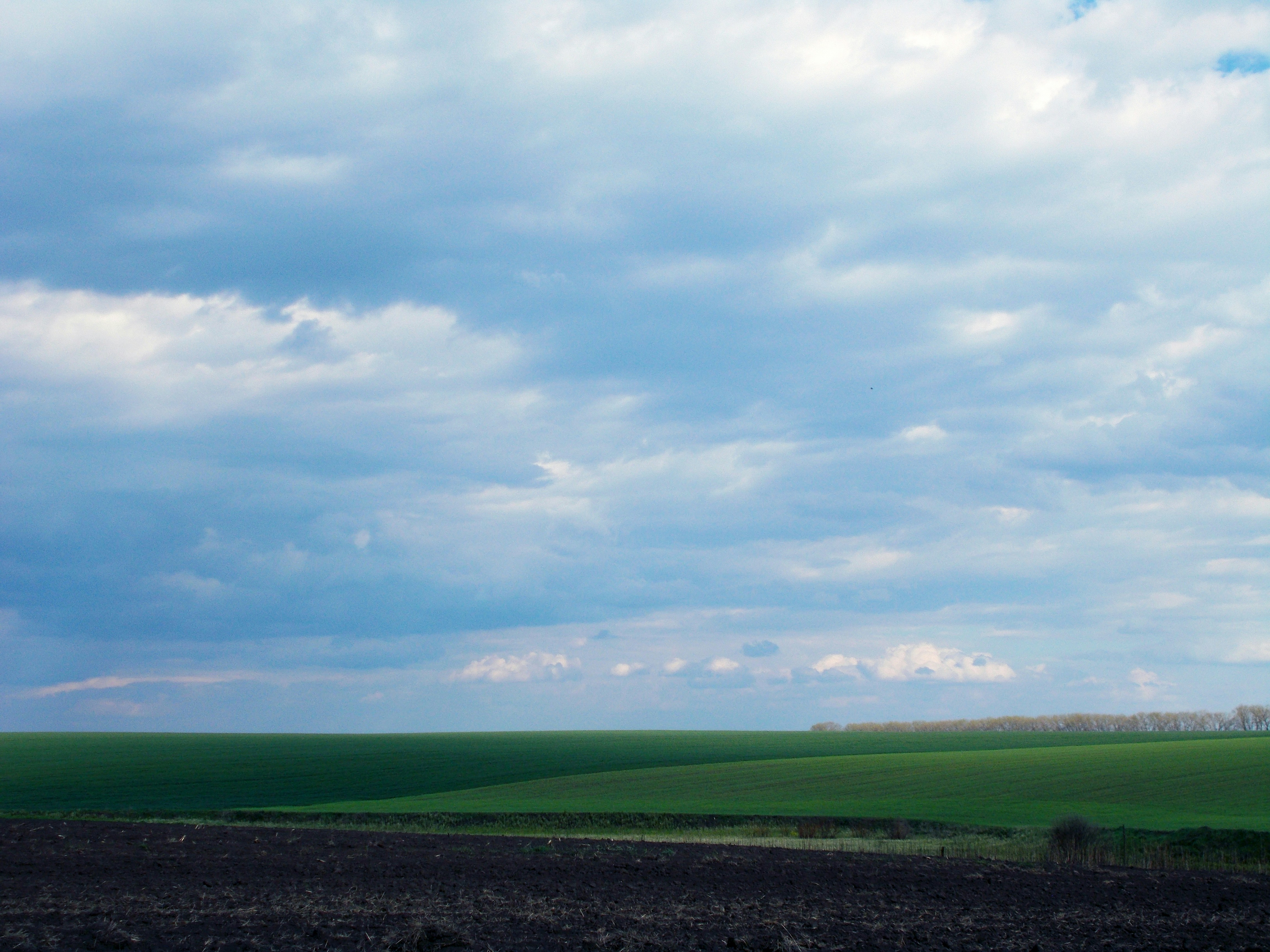 Photo by helen_zahrai