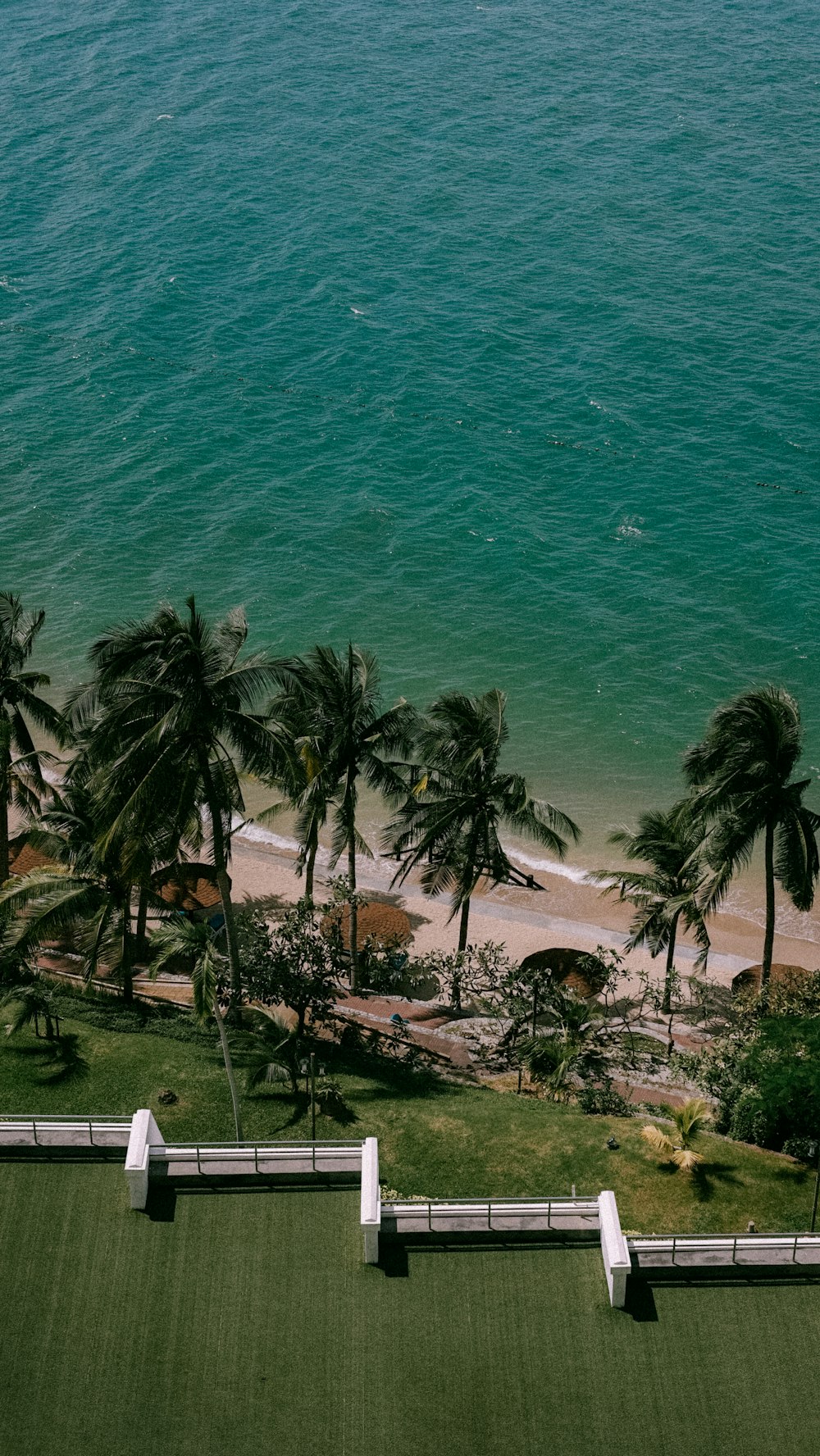 an aerial view of a beach with palm trees