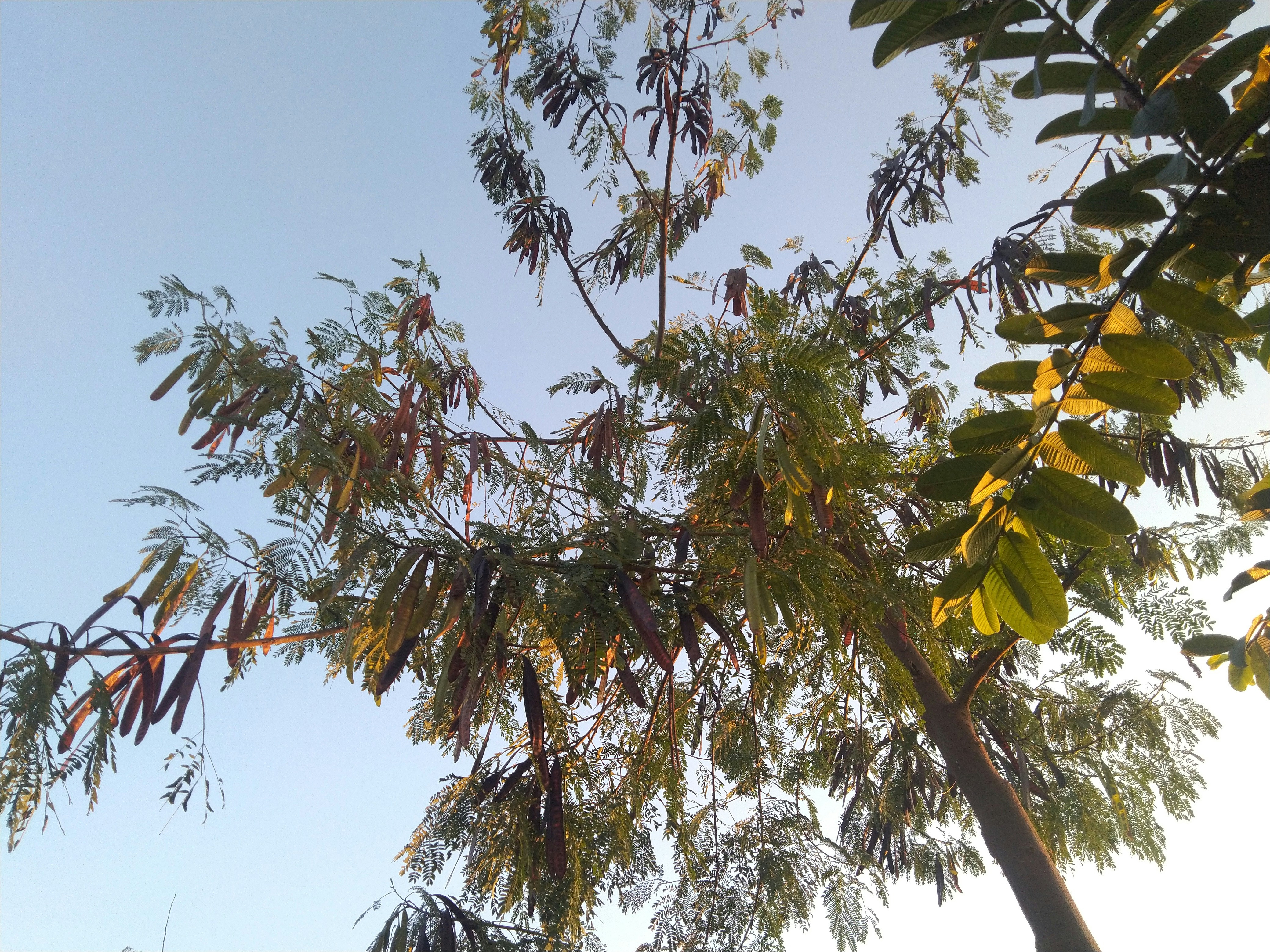 Photo by photographer_in_me