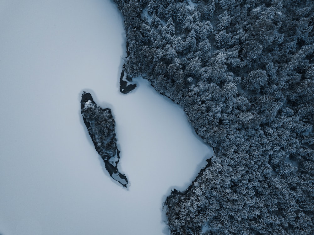 an aerial view of a snow covered forest