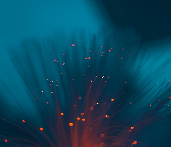 a close up of a flower on a blue background