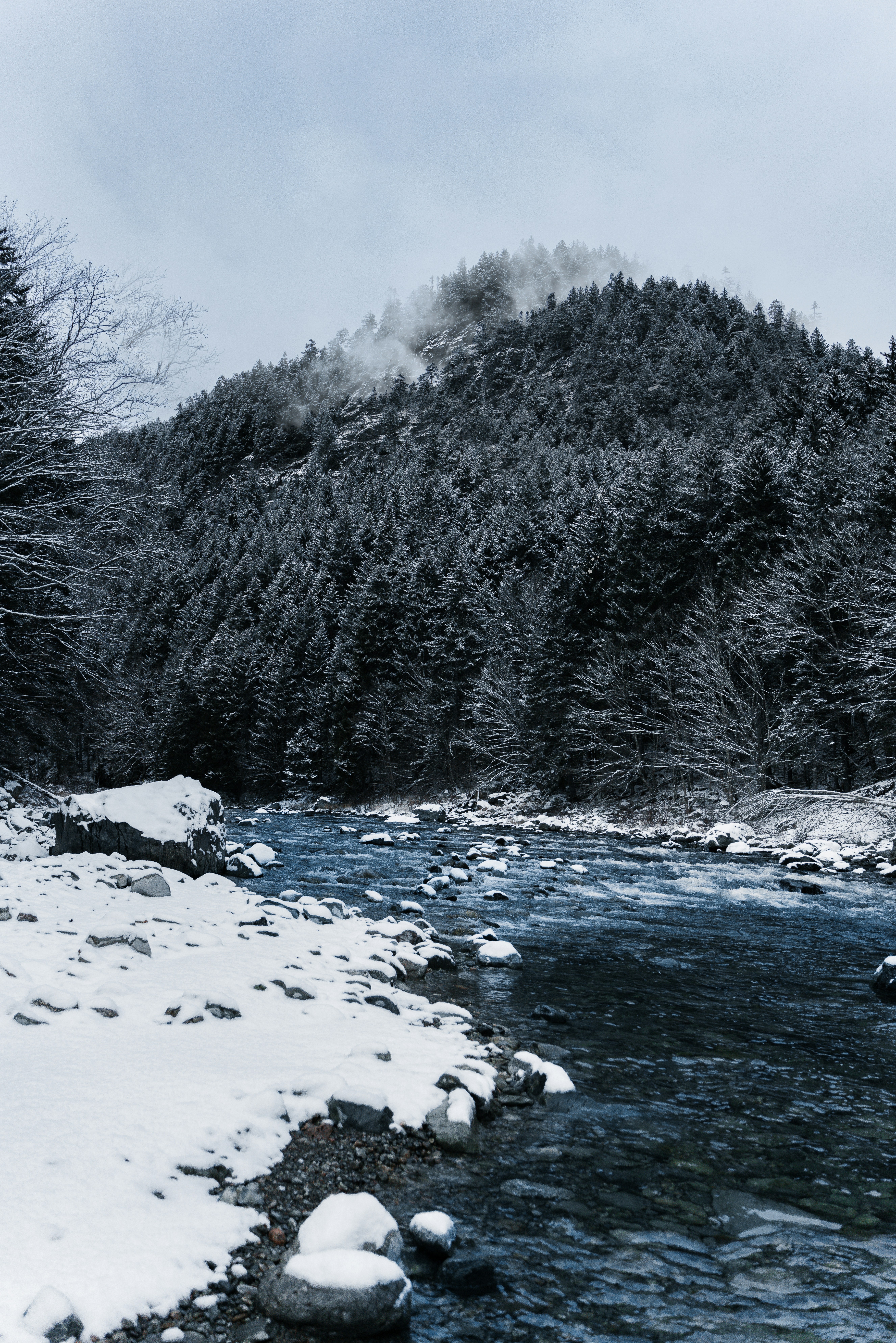 눈 덮인 숲을 흐르는 강