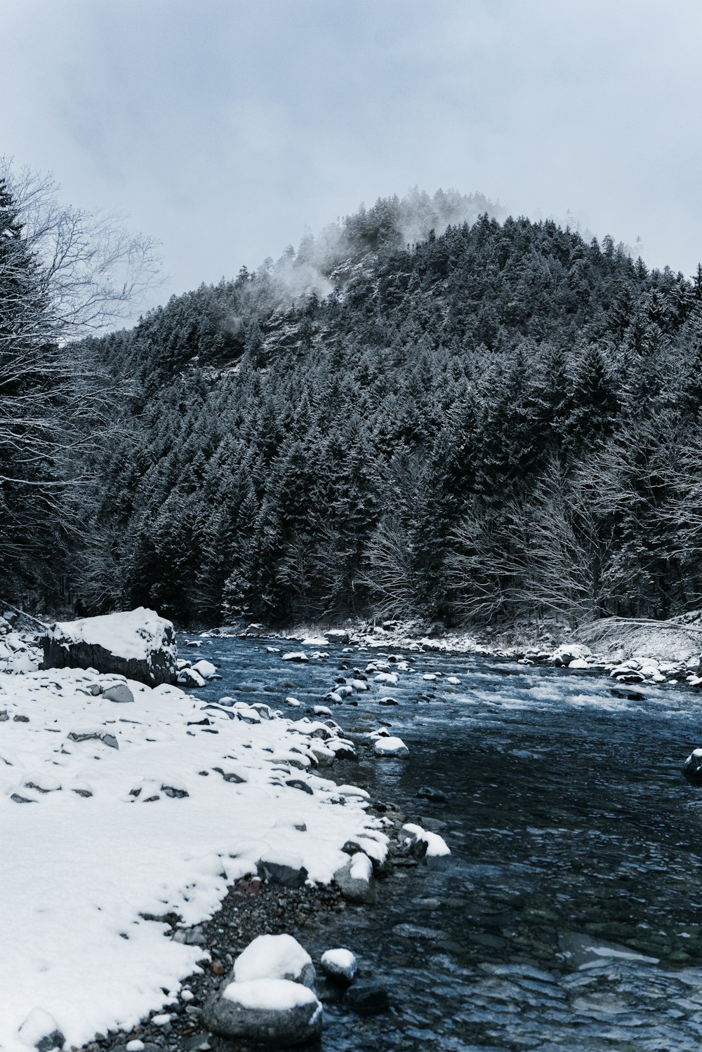 a river running through a snow covered forest