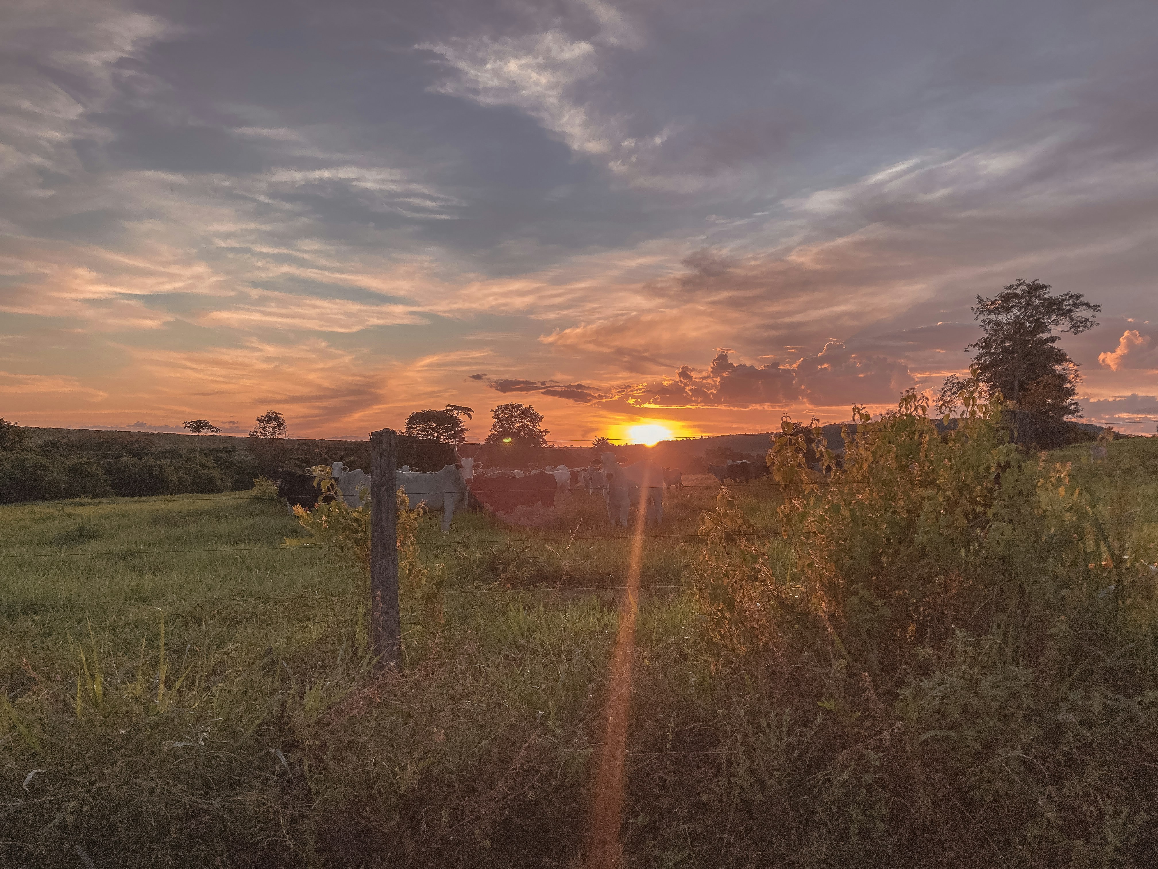 Photo by amazonphotography101