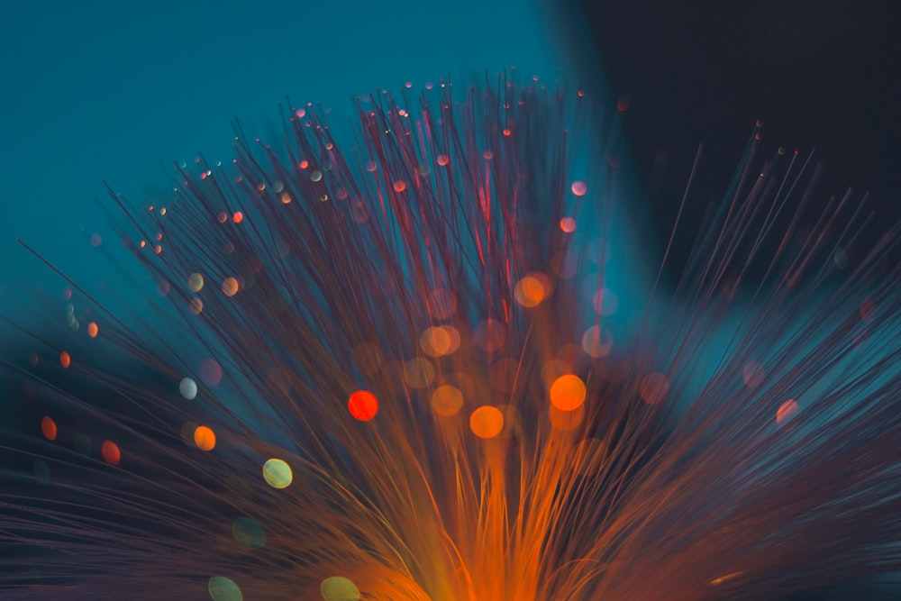 a close up of a flower with lots of blurry lights